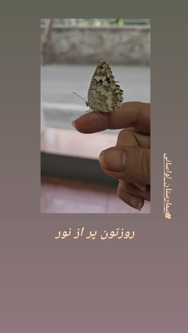  جدید ترین استوری اینستاگرام رزیتا غفاری