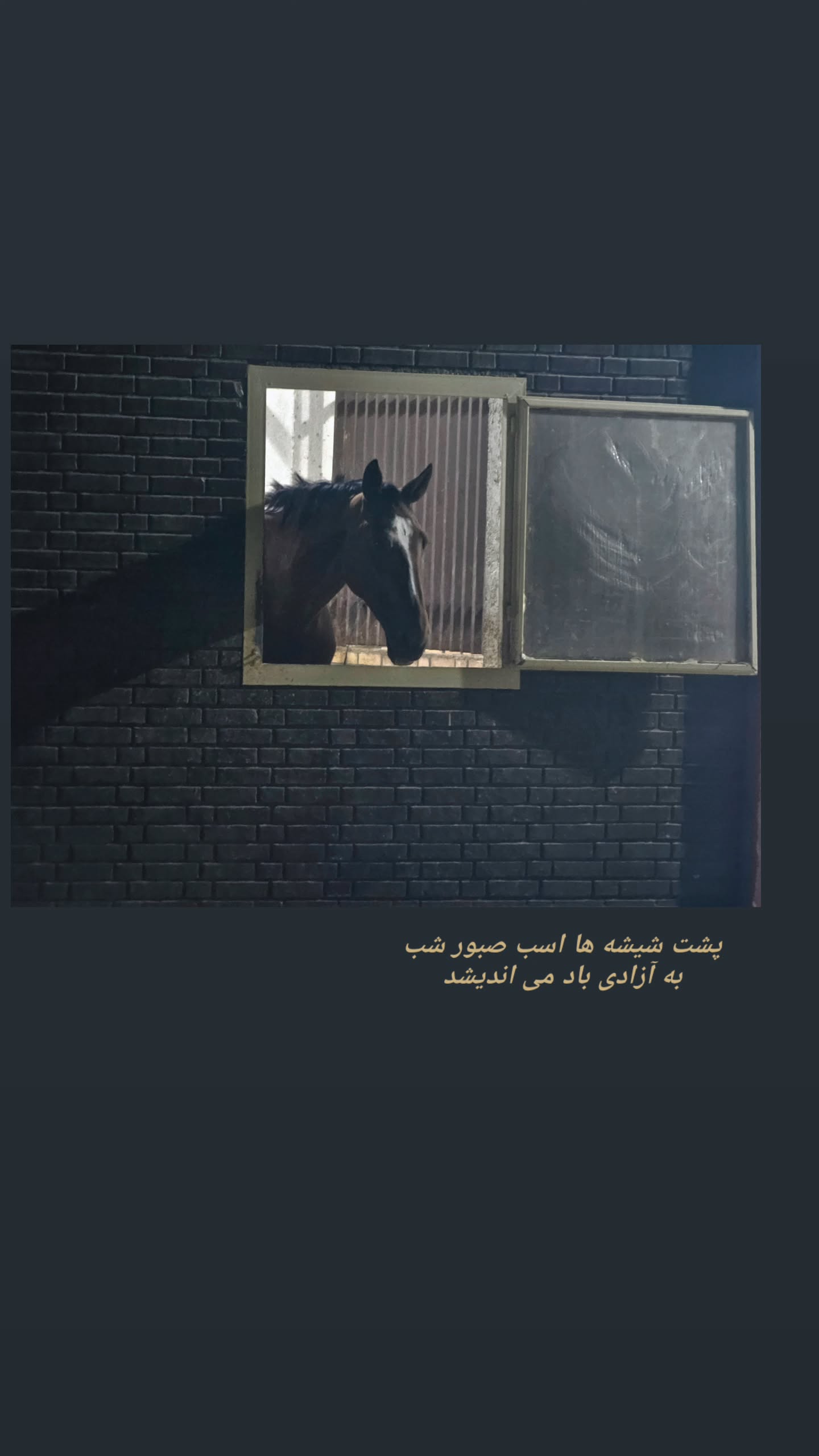  جدید ترین استوری اینستاگرام رزیتا غفاری