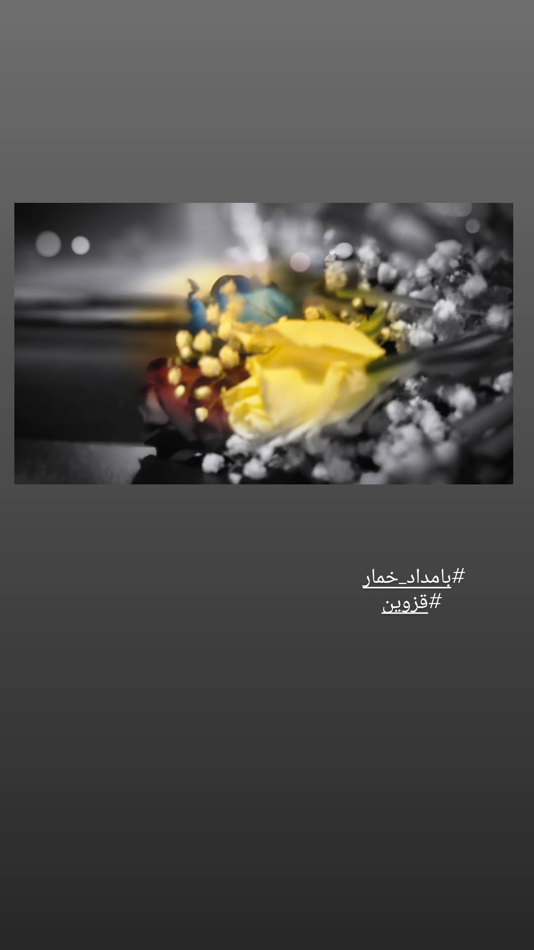  جدید ترین استوری اینستاگرام رزیتا غفاری