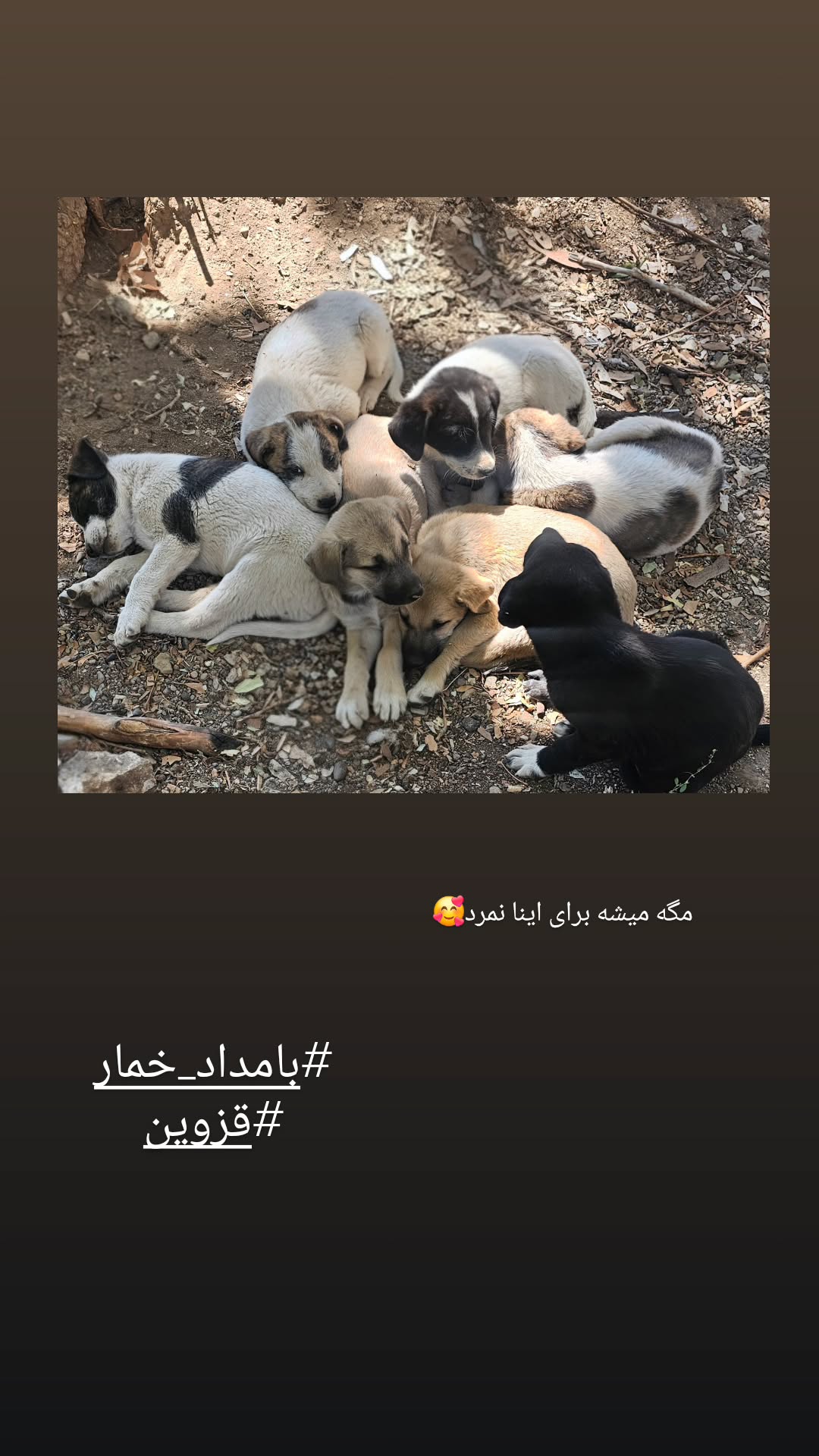  جدید ترین استوری اینستاگرام رزیتا غفاری
