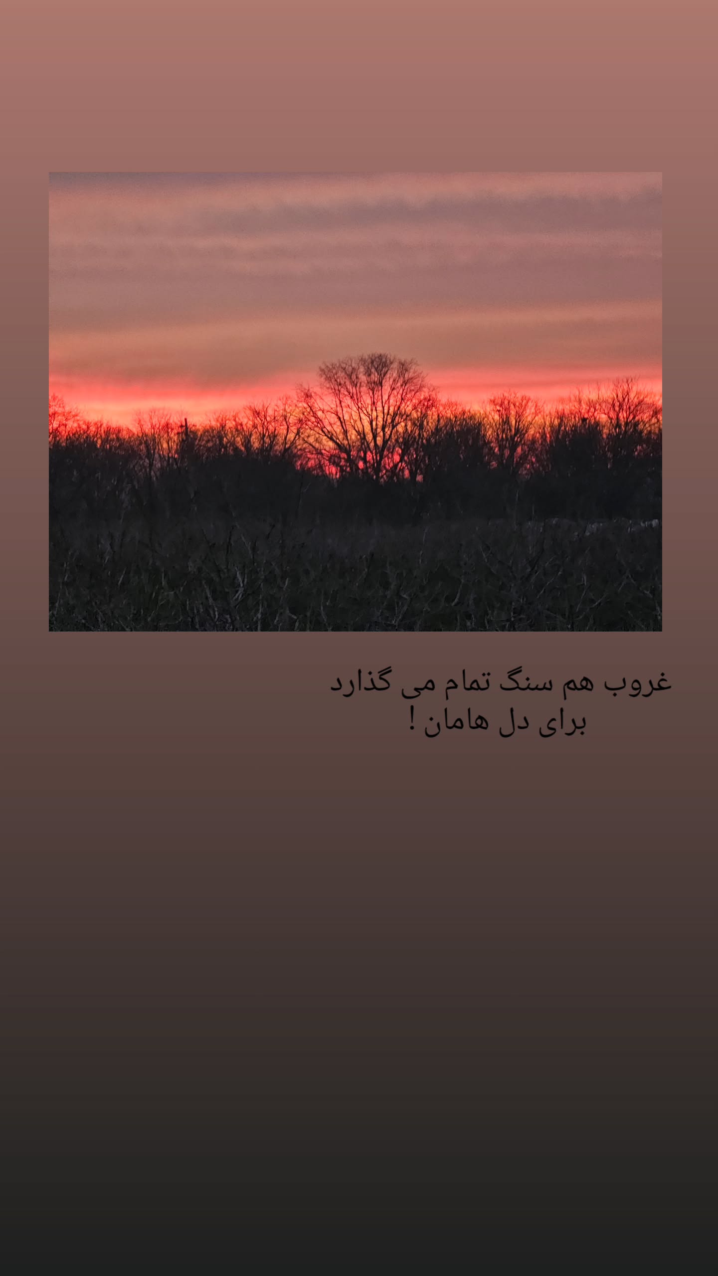  جدید ترین استوری اینستاگرام رزیتا غفاری
