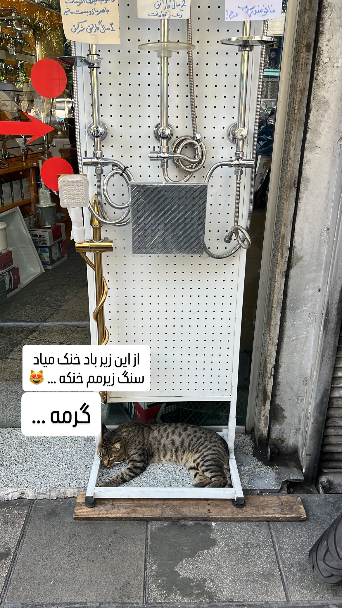  جدید ترین استوری اینستاگرام سروش صلواتیان