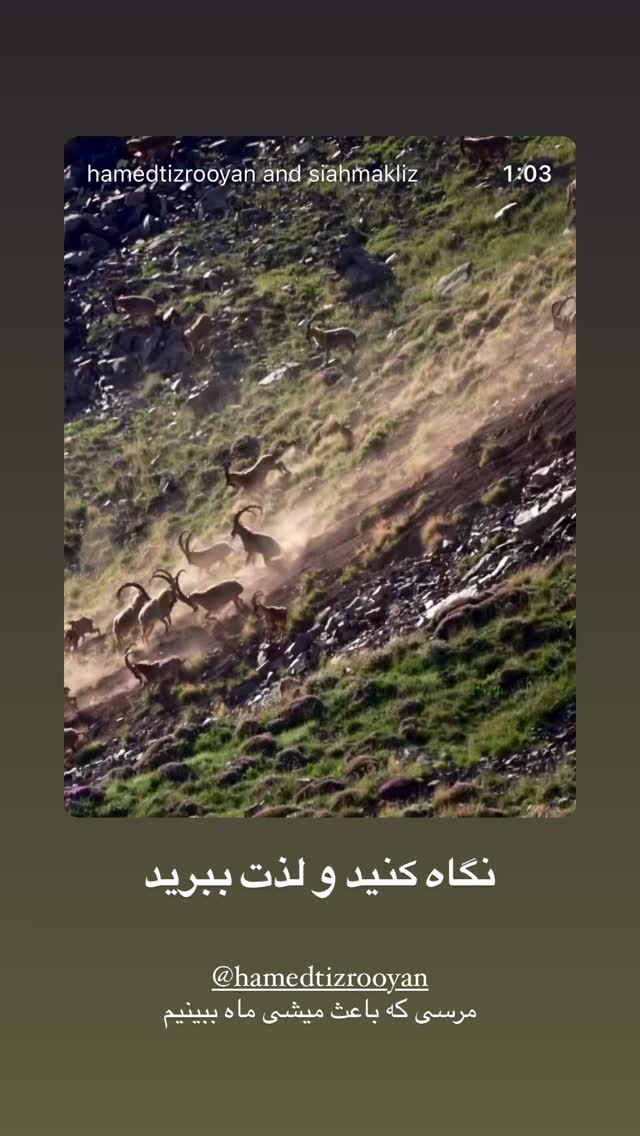  جدید ترین استوری اینستاگرام سروش صلواتیان