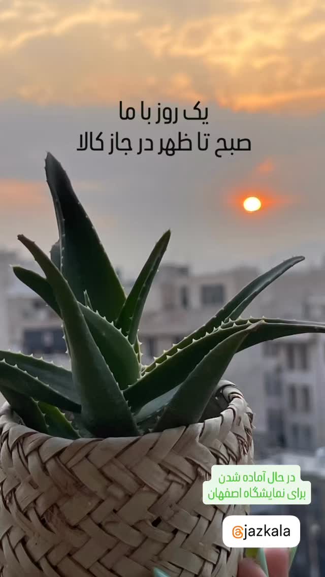  جدید ترین استوری اینستاگرام سروش صلواتیان