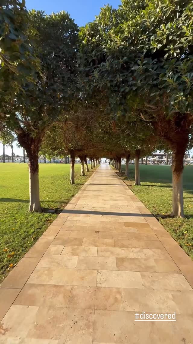  جدید ترین استوری اینستاگرام سروش صلواتیان