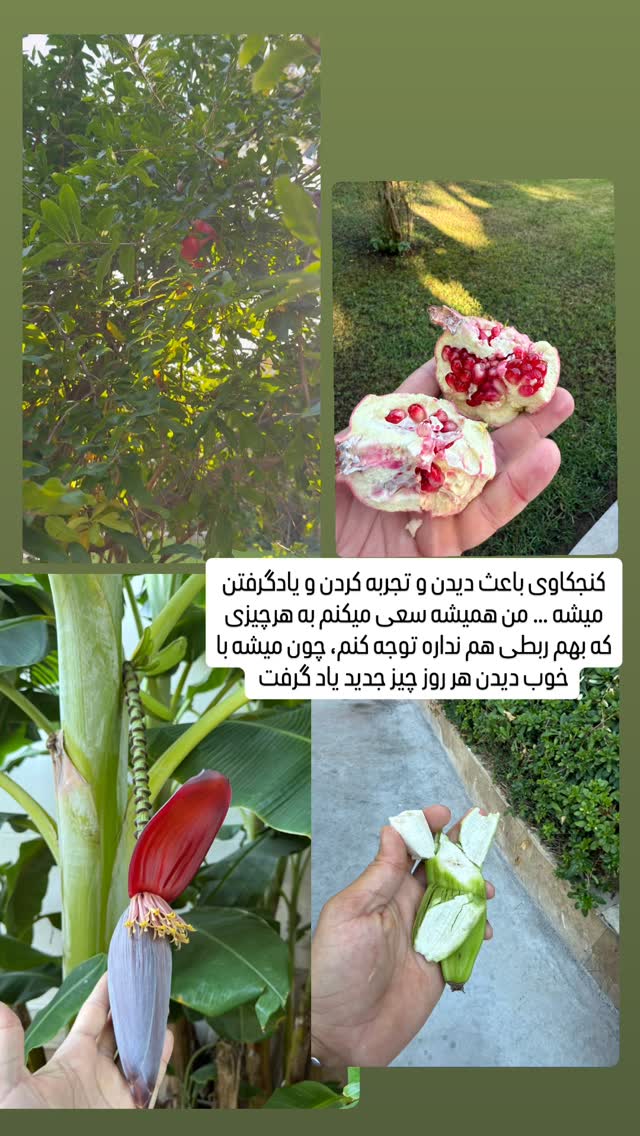  جدید ترین استوری اینستاگرام سروش صلواتیان