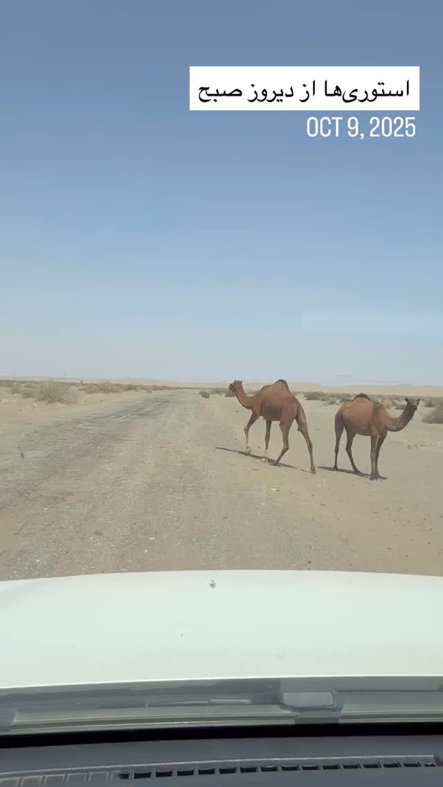  جدید ترین استوری اینستاگرام سروش صلواتیان