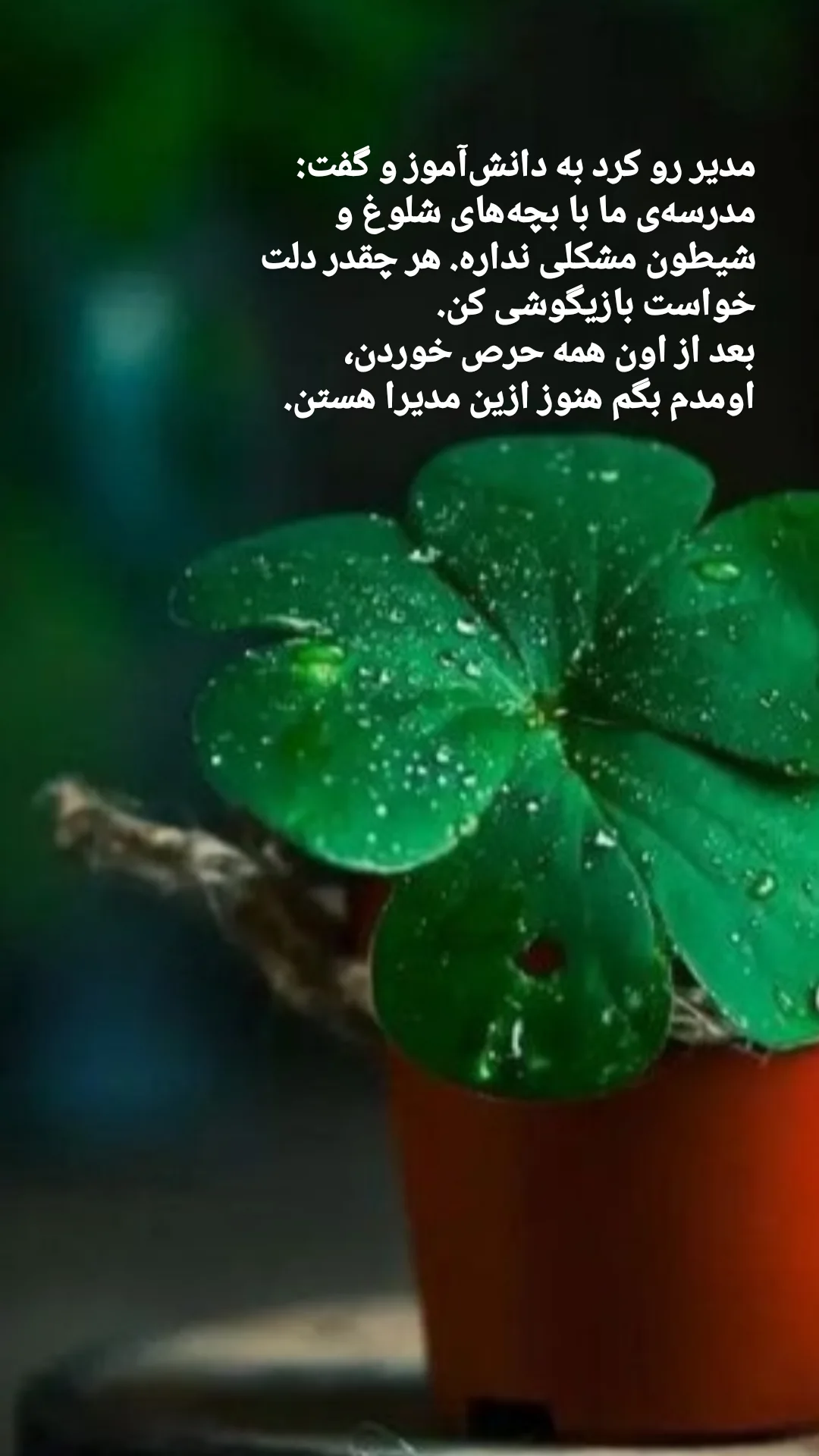  جدید ترین استوری اینستاگرام سارا عرفانی