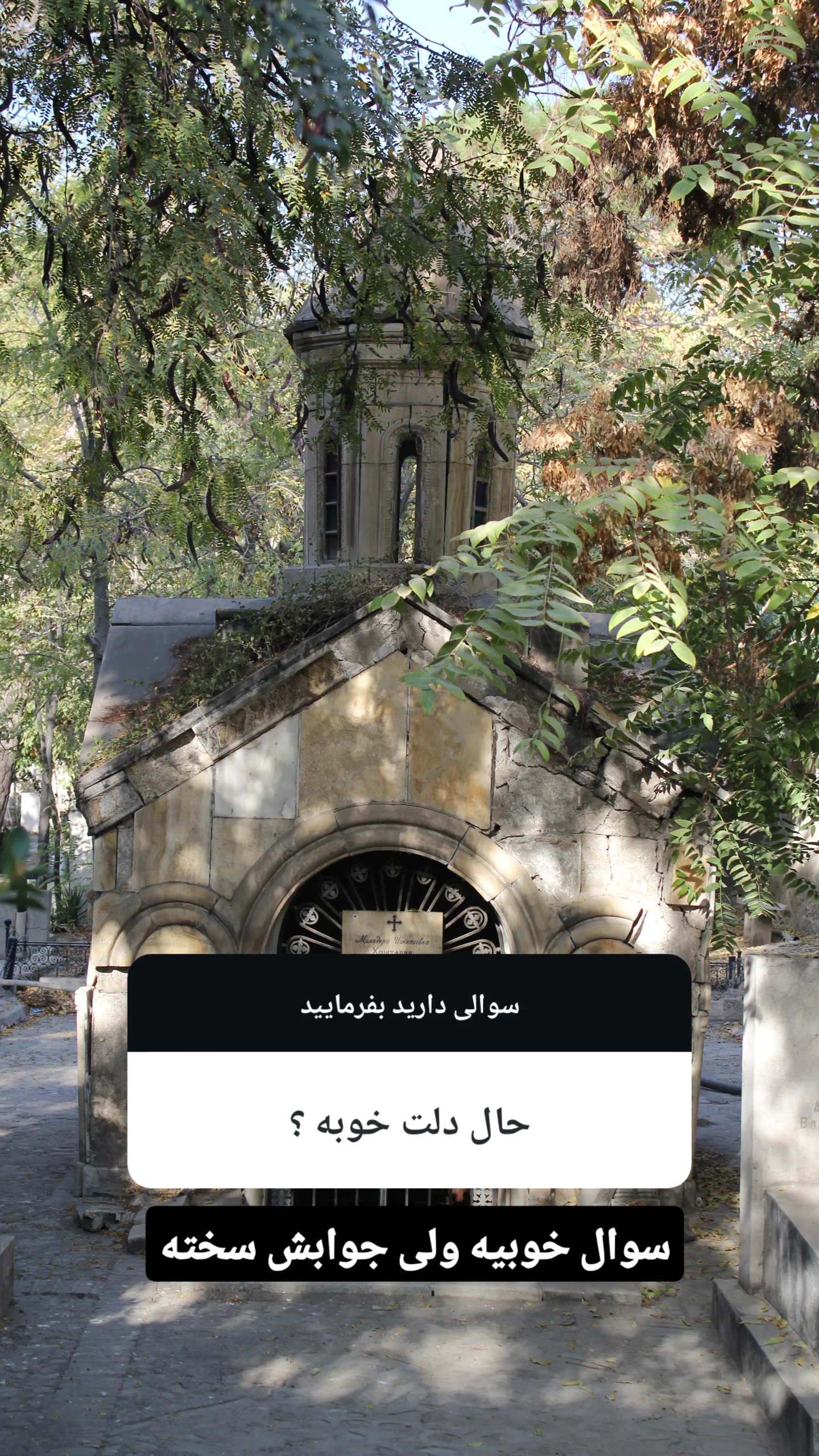  جدید ترین استوری اینستاگرام سارا عرفانی