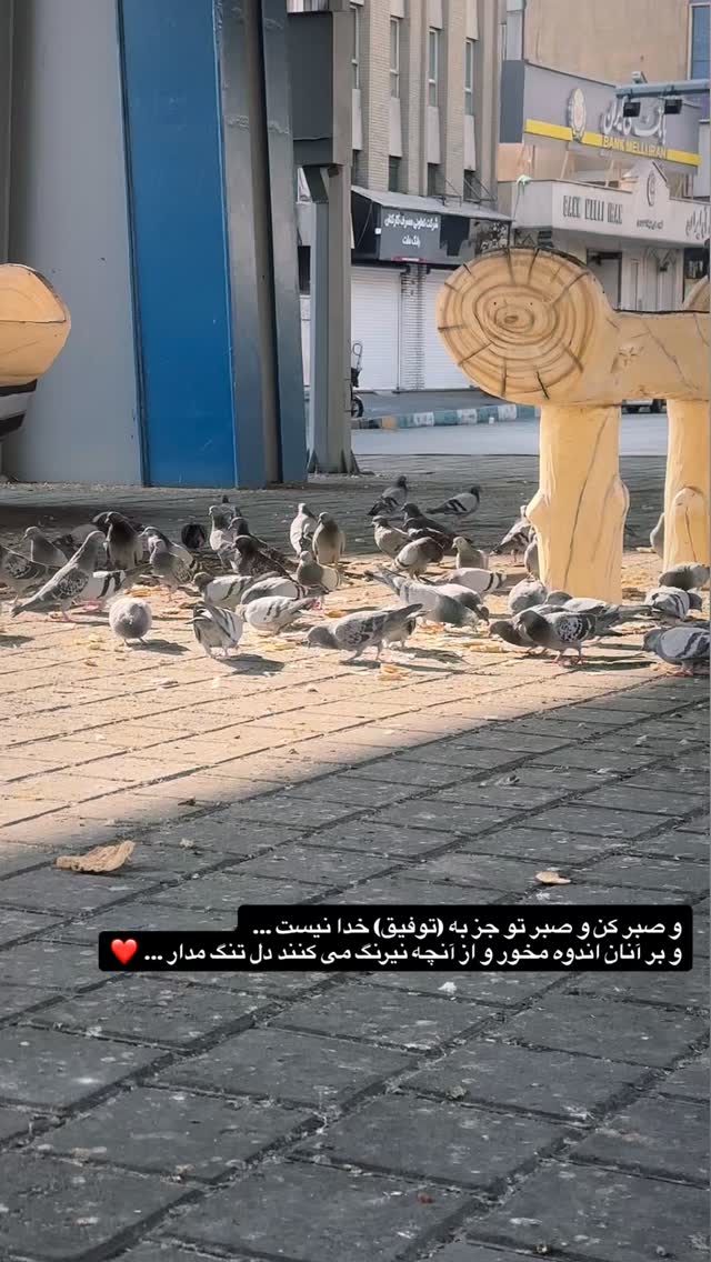  جدید ترین استوری اینستاگرام سيد سام بهشتي