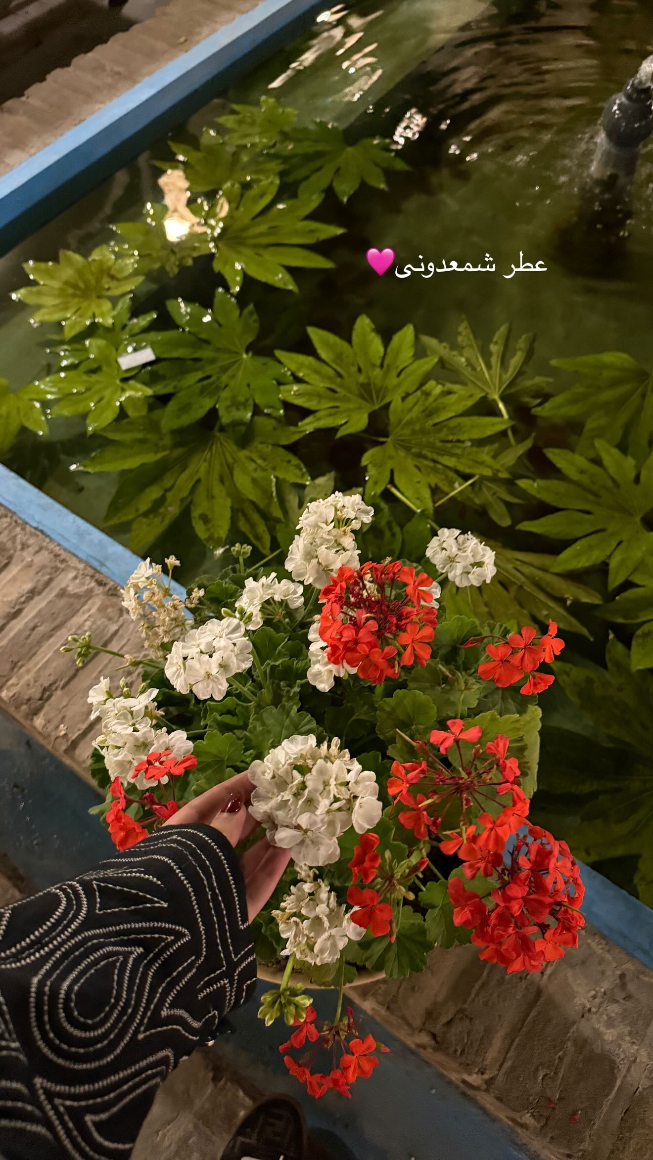  جدید ترین استوری اینستاگرام صبا مرشدی