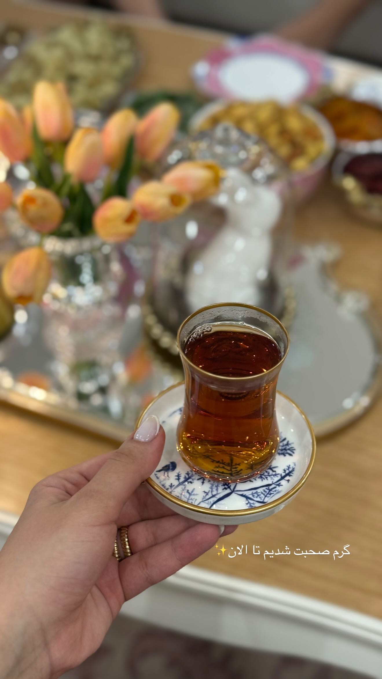  جدید ترین استوری اینستاگرام صبا مرشدی