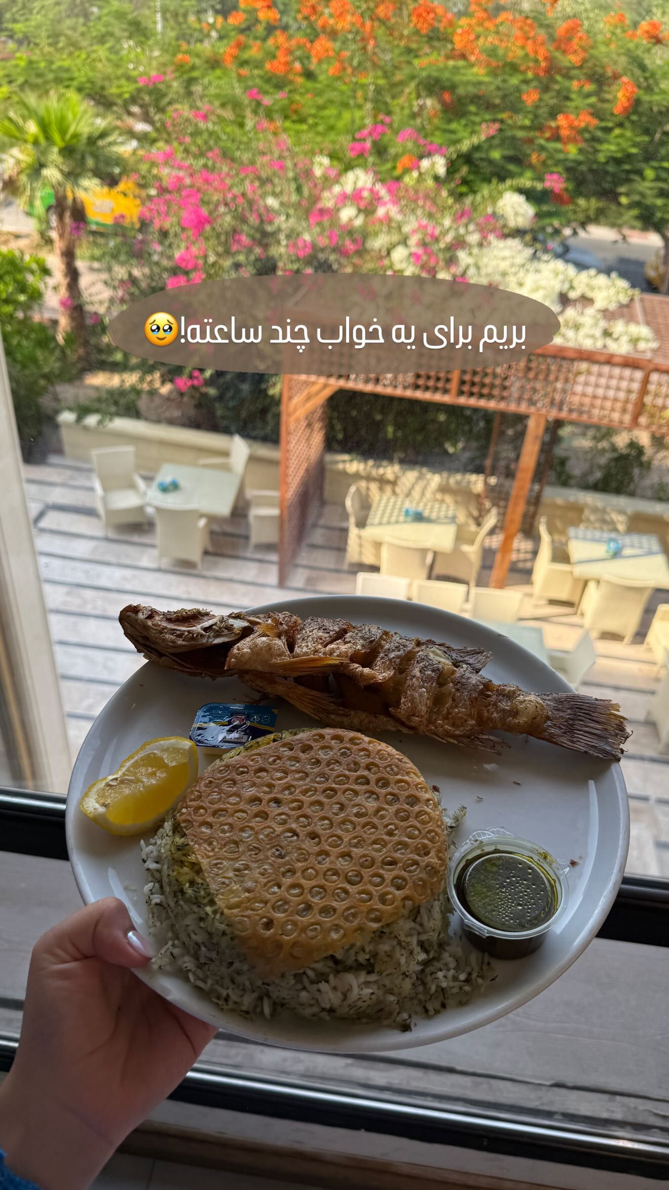  جدید ترین استوری اینستاگرام صبا مرشدی