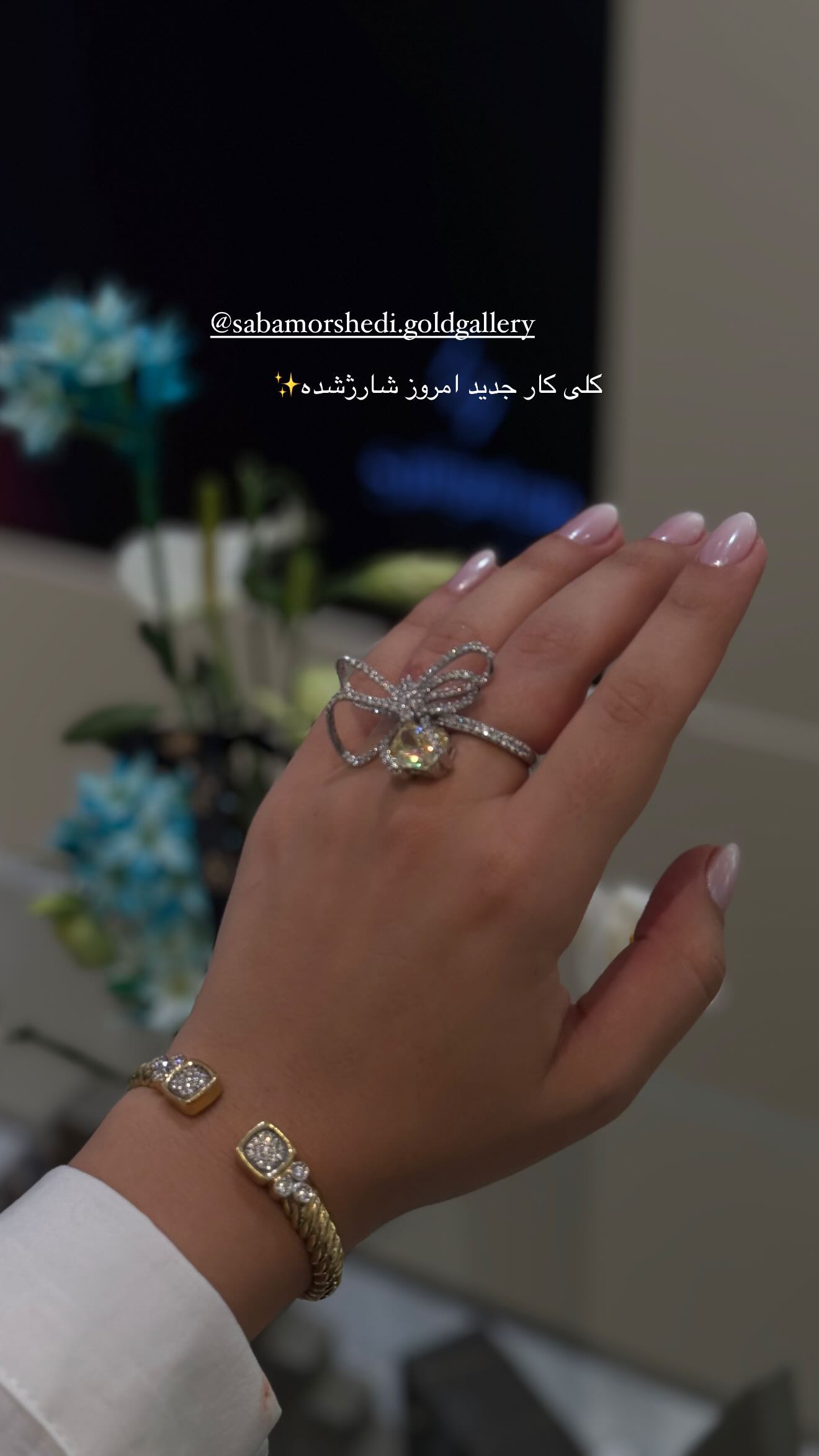  جدید ترین استوری اینستاگرام صبا مرشدی