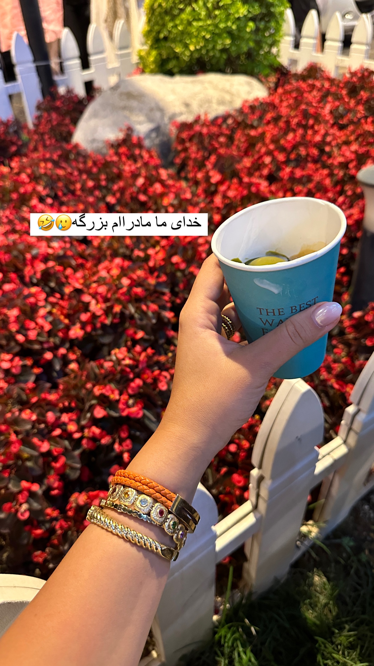  جدید ترین استوری اینستاگرام صبا مرشدی