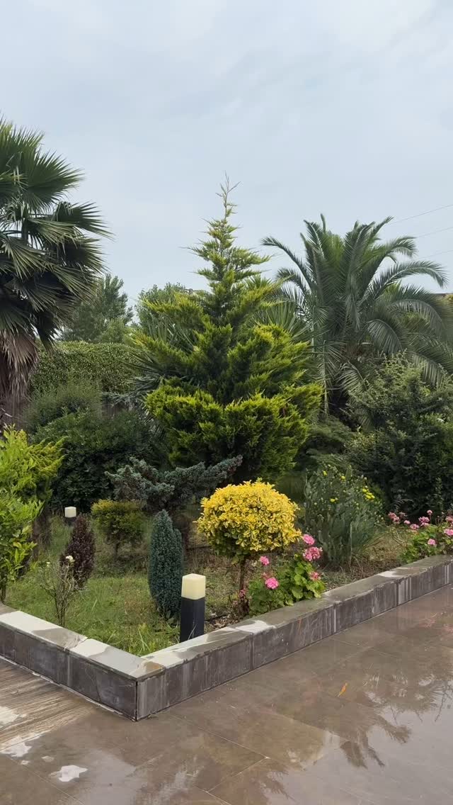  جدید ترین استوری اینستاگرام صبا مرشدی