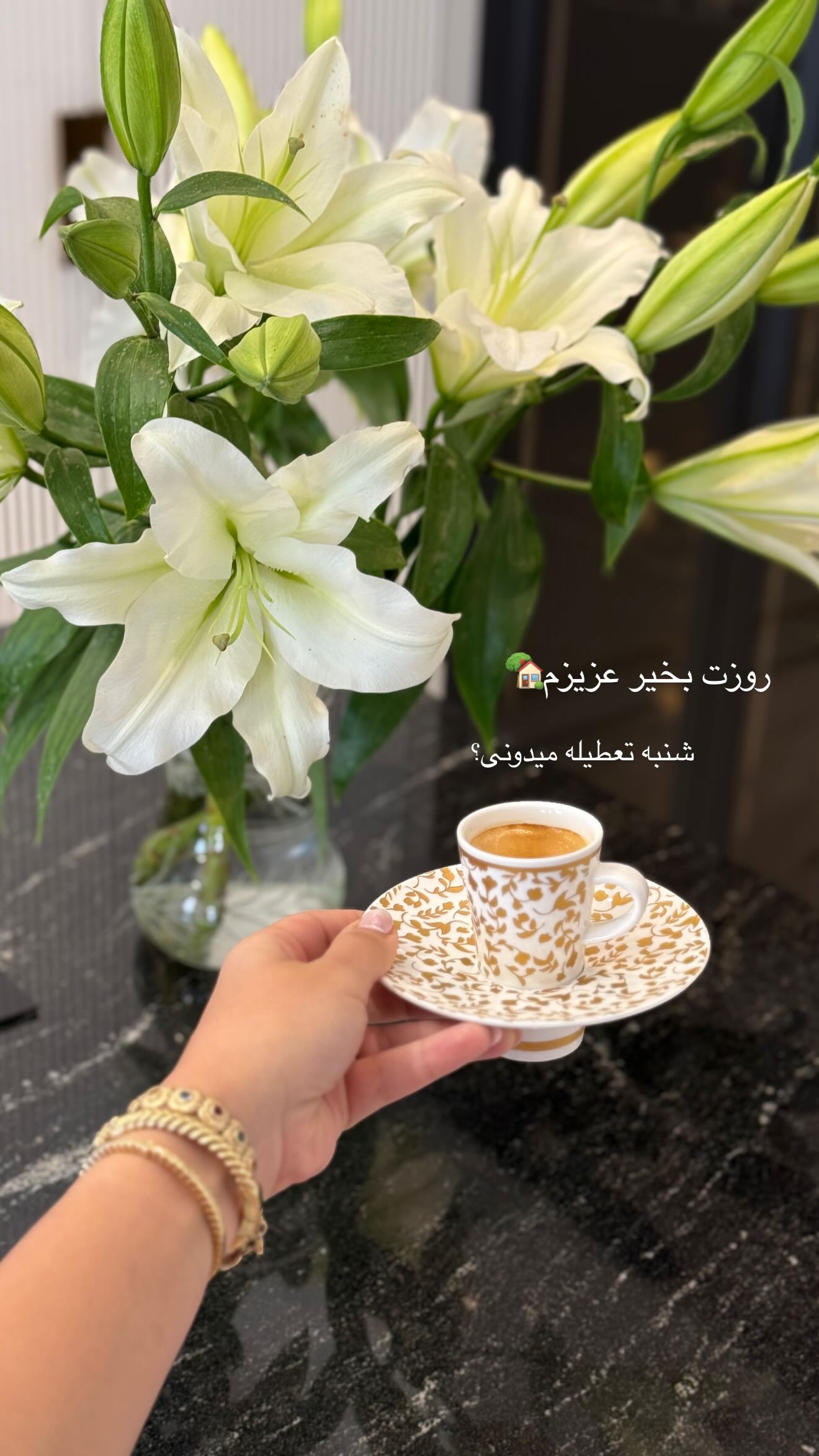  جدید ترین استوری اینستاگرام صبا مرشدی