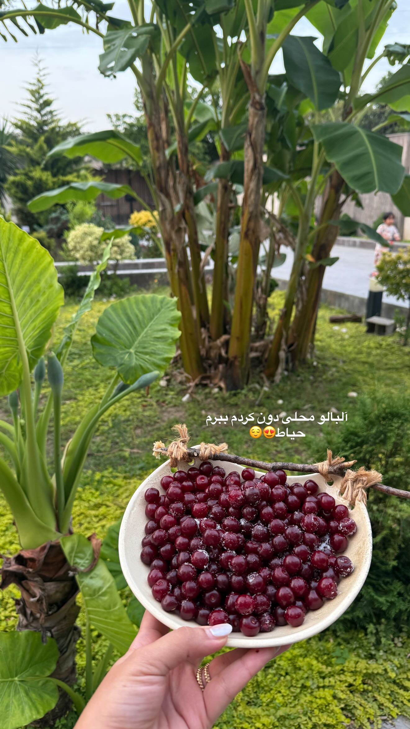  جدید ترین استوری اینستاگرام صبا مرشدی