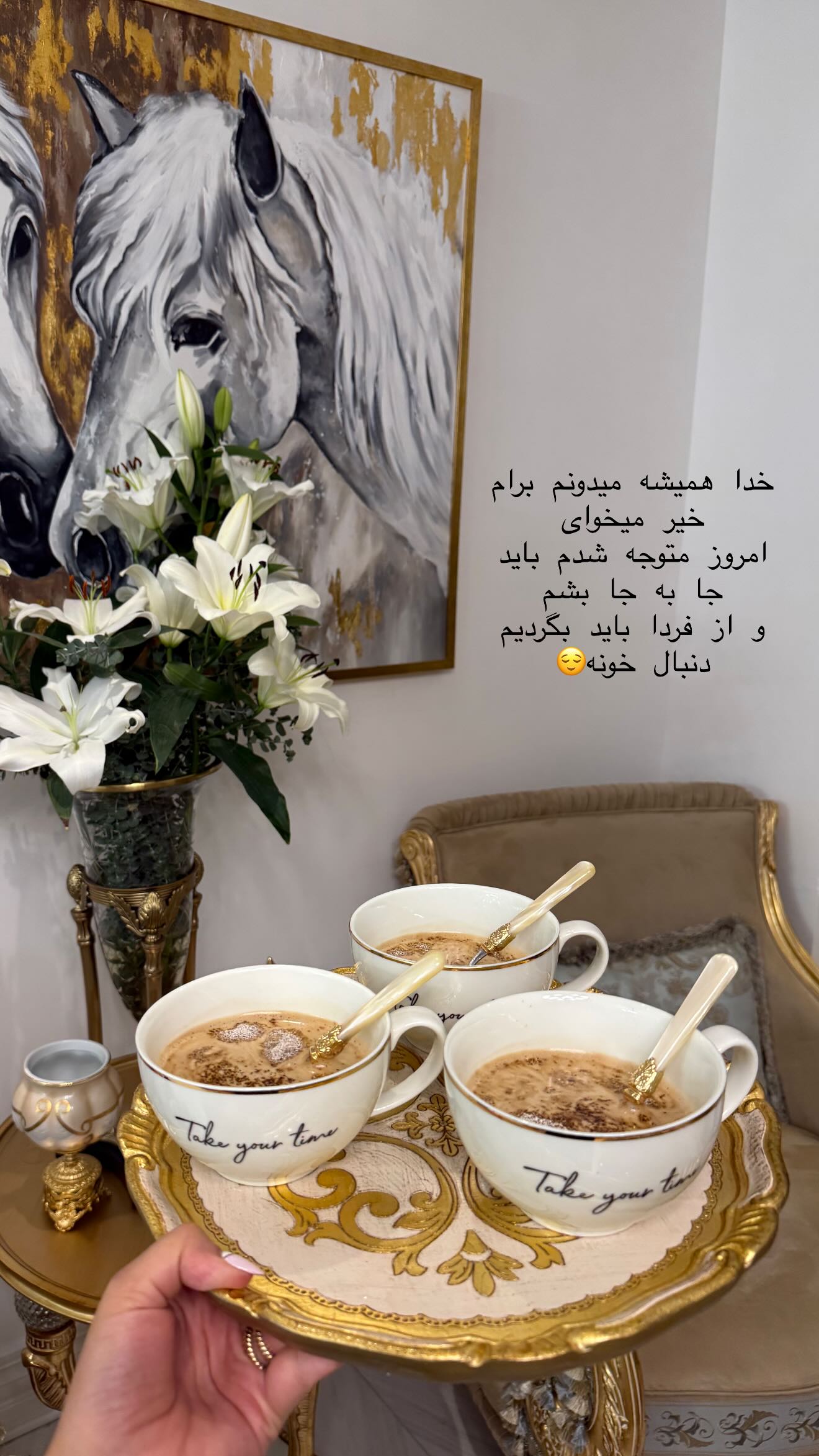  جدید ترین استوری اینستاگرام صبا مرشدی