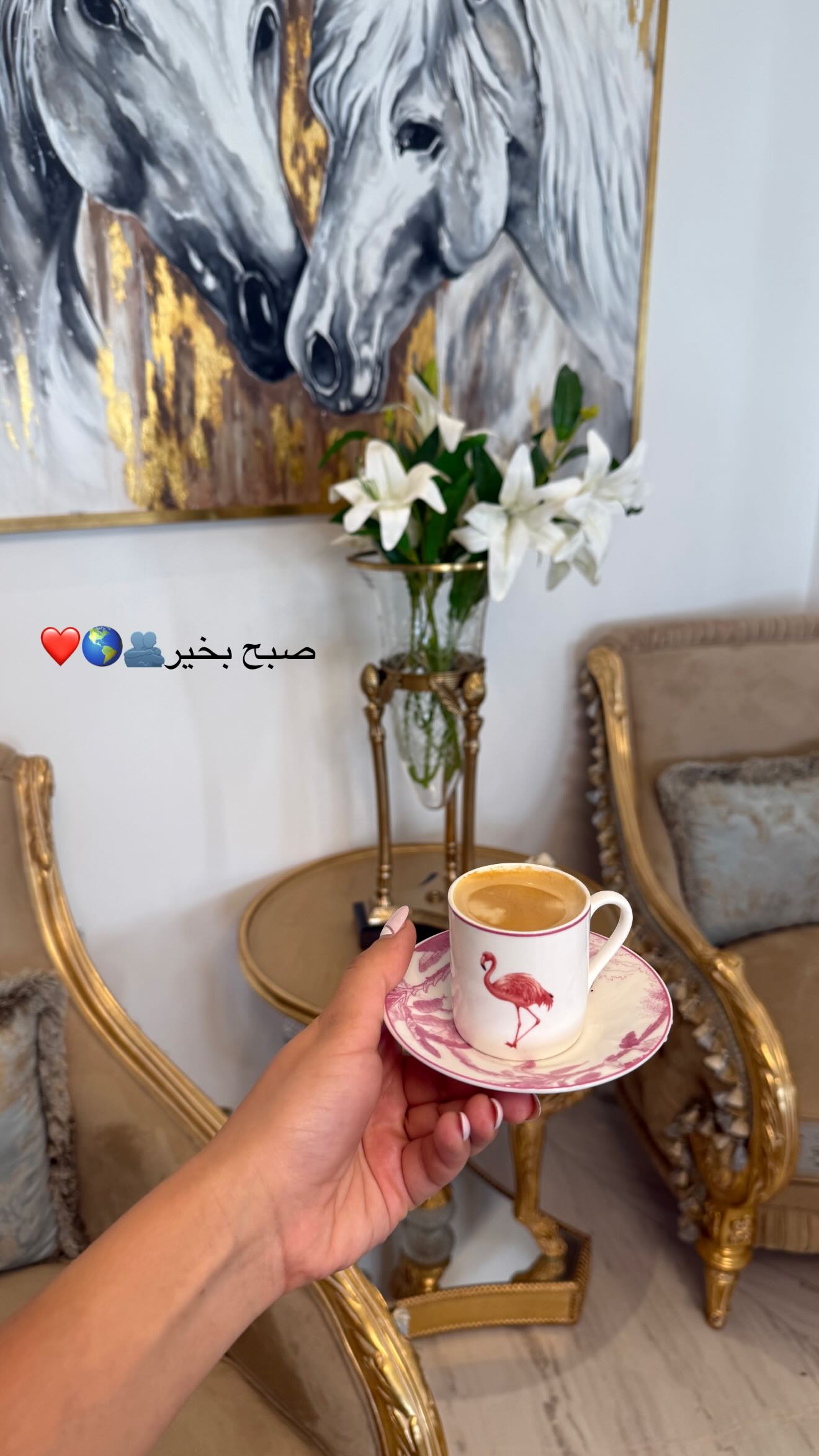  جدید ترین استوری اینستاگرام صبا مرشدی