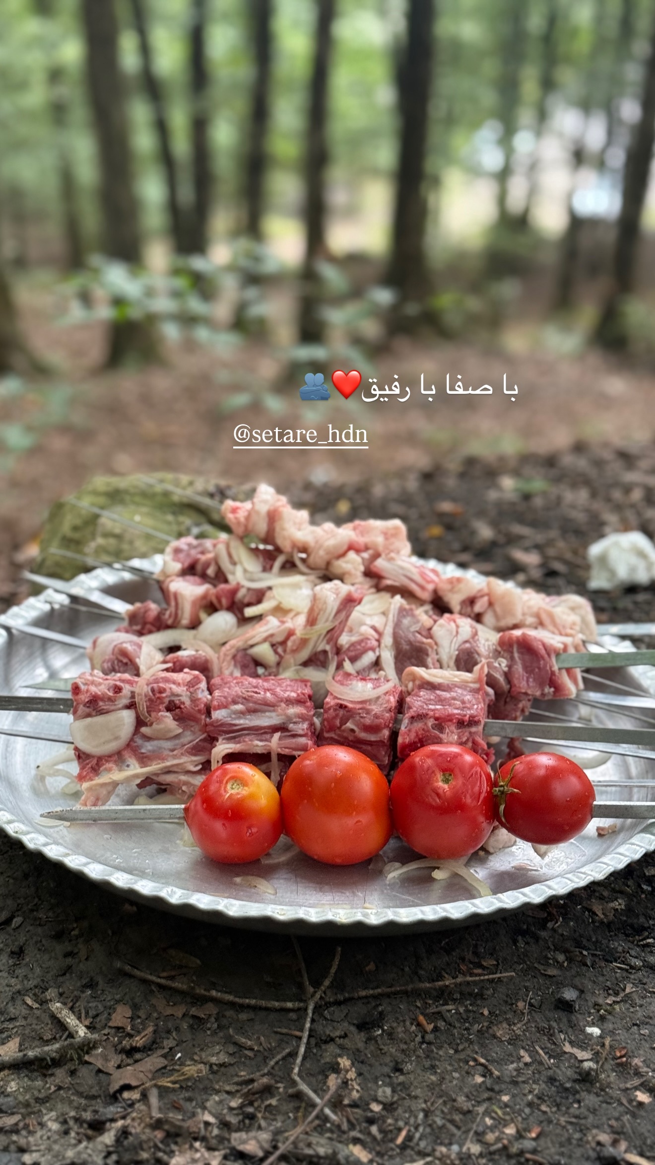  جدید ترین استوری اینستاگرام صبا مرشدی