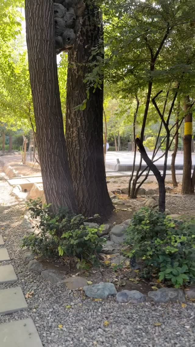  جدید ترین استوری اینستاگرام صبا مرشدی