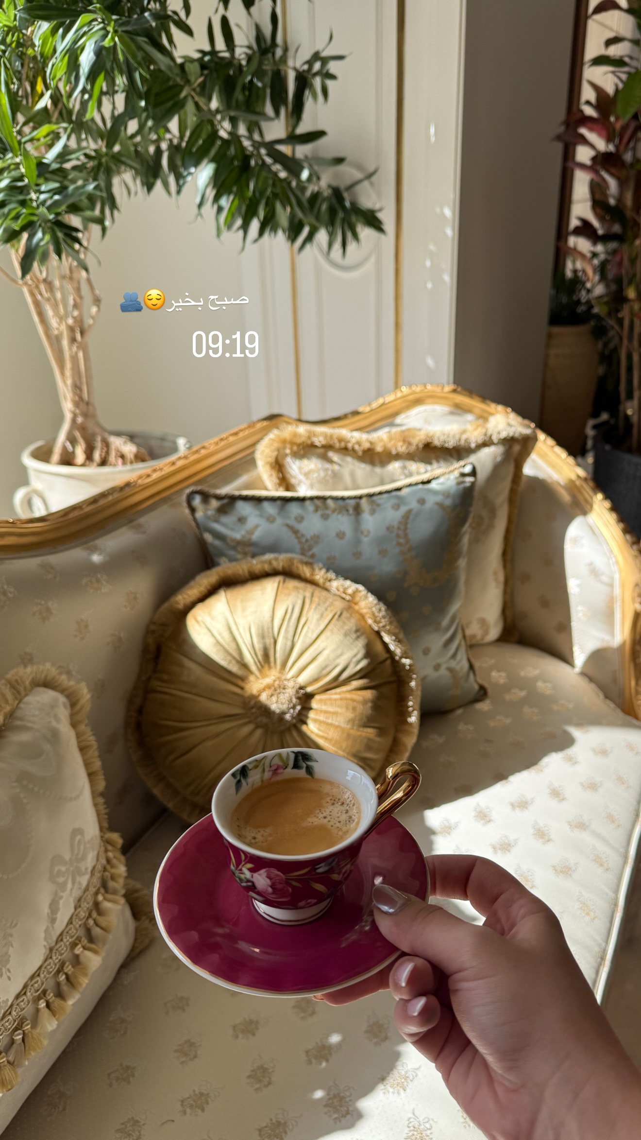  جدید ترین استوری اینستاگرام صبا مرشدی
