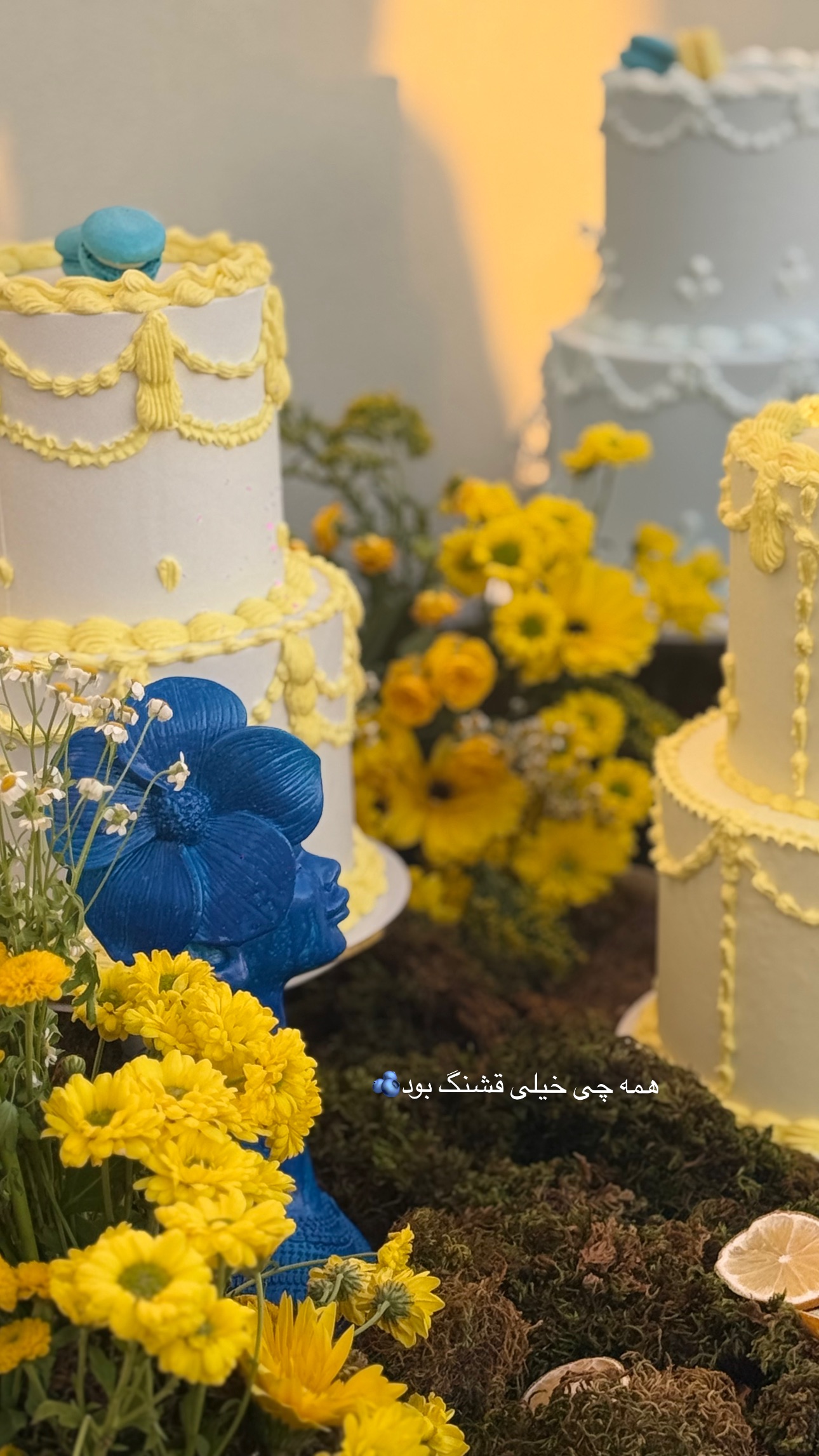  جدید ترین استوری اینستاگرام صبا مرشدی