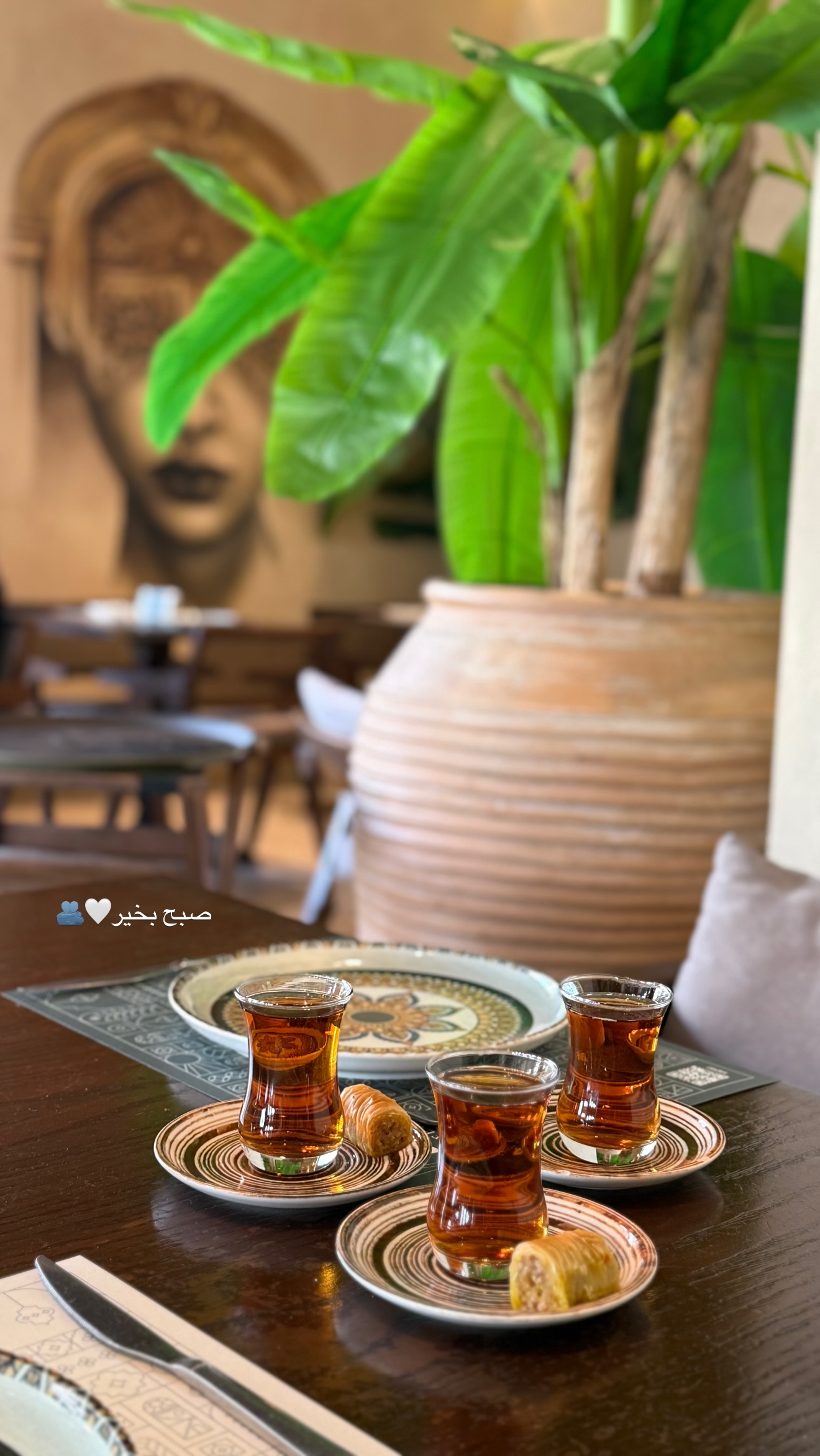  جدید ترین استوری اینستاگرام صبا مرشدی
