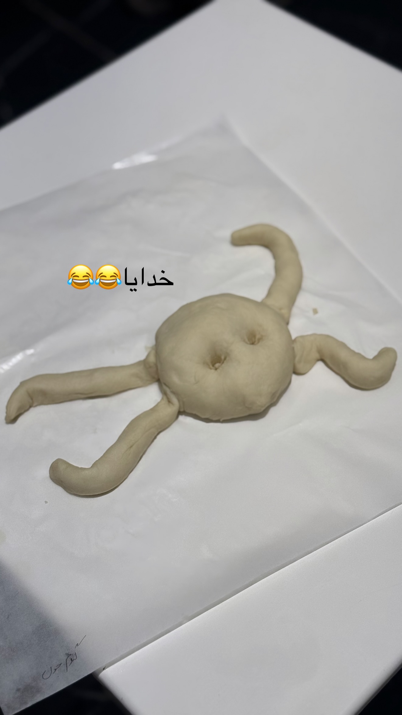  جدید ترین استوری اینستاگرام صبا مرشدی