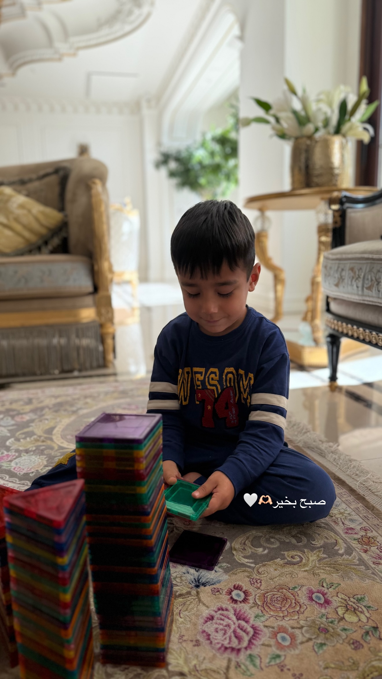  جدید ترین استوری اینستاگرام صبا مرشدی