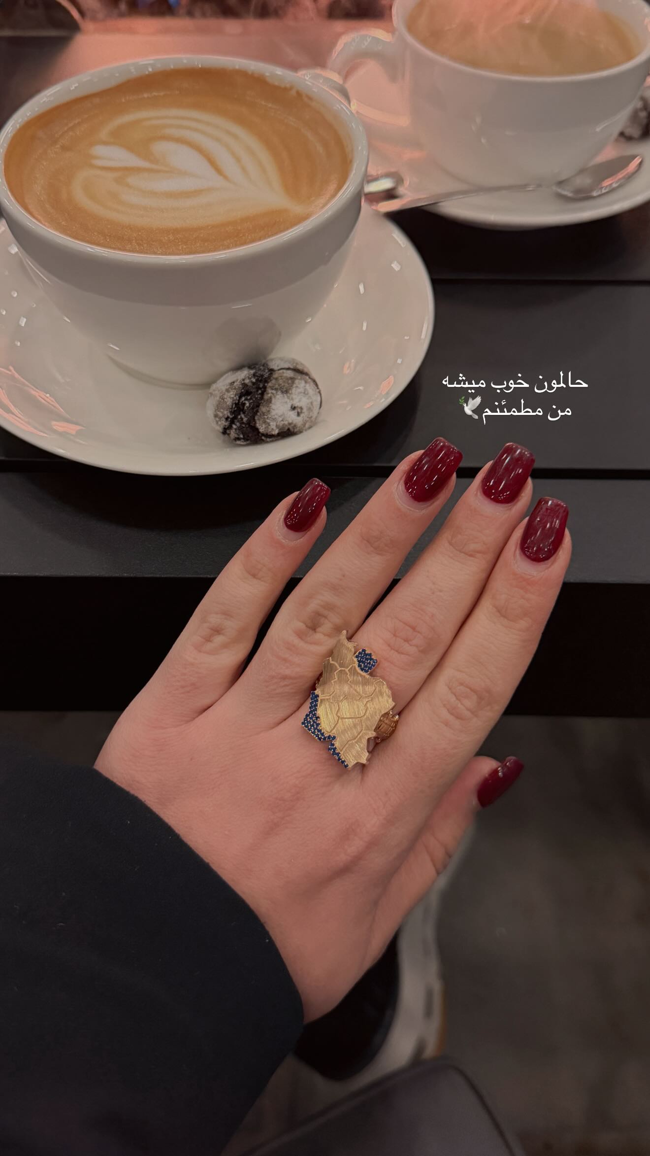  جدید ترین استوری اینستاگرام صبا مرشدی
