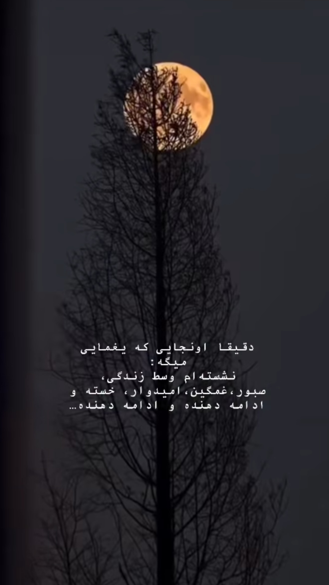  جدید ترین استوری اینستاگرام صبا مرشدی
