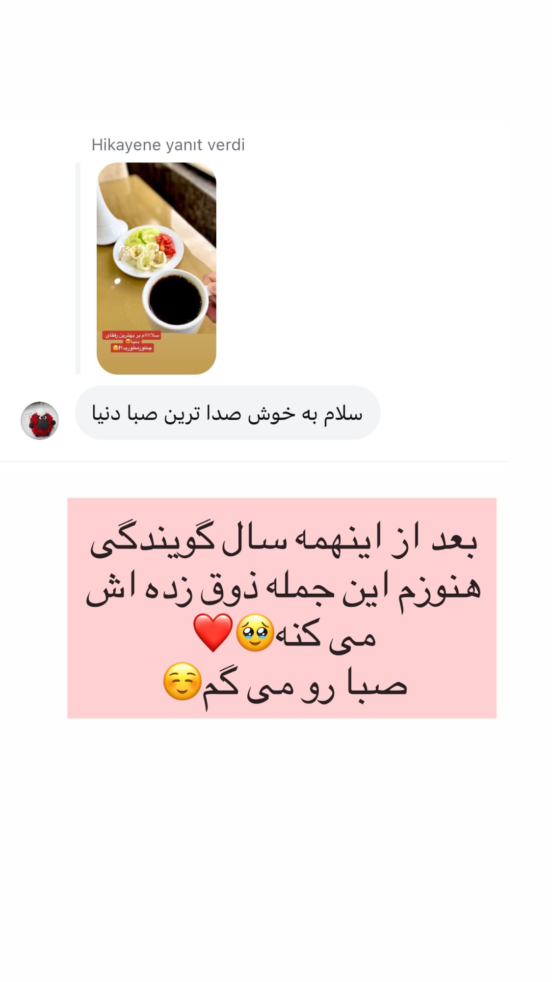  جدید ترین استوری اینستاگرام صبا راد