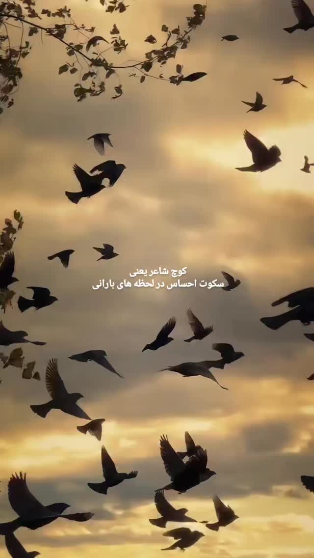  جدید ترین استوری اینستاگرام صابر خراسانی
