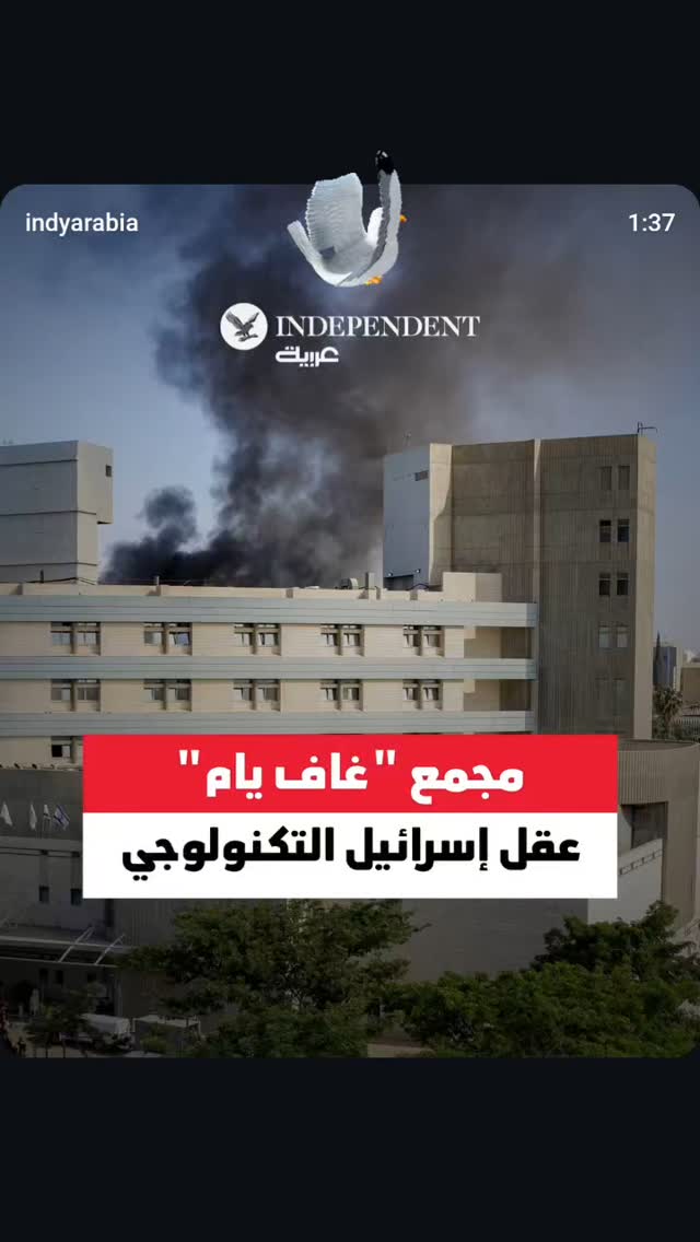  جدید ترین استوری اینستاگرام صابر شیخ رضائی