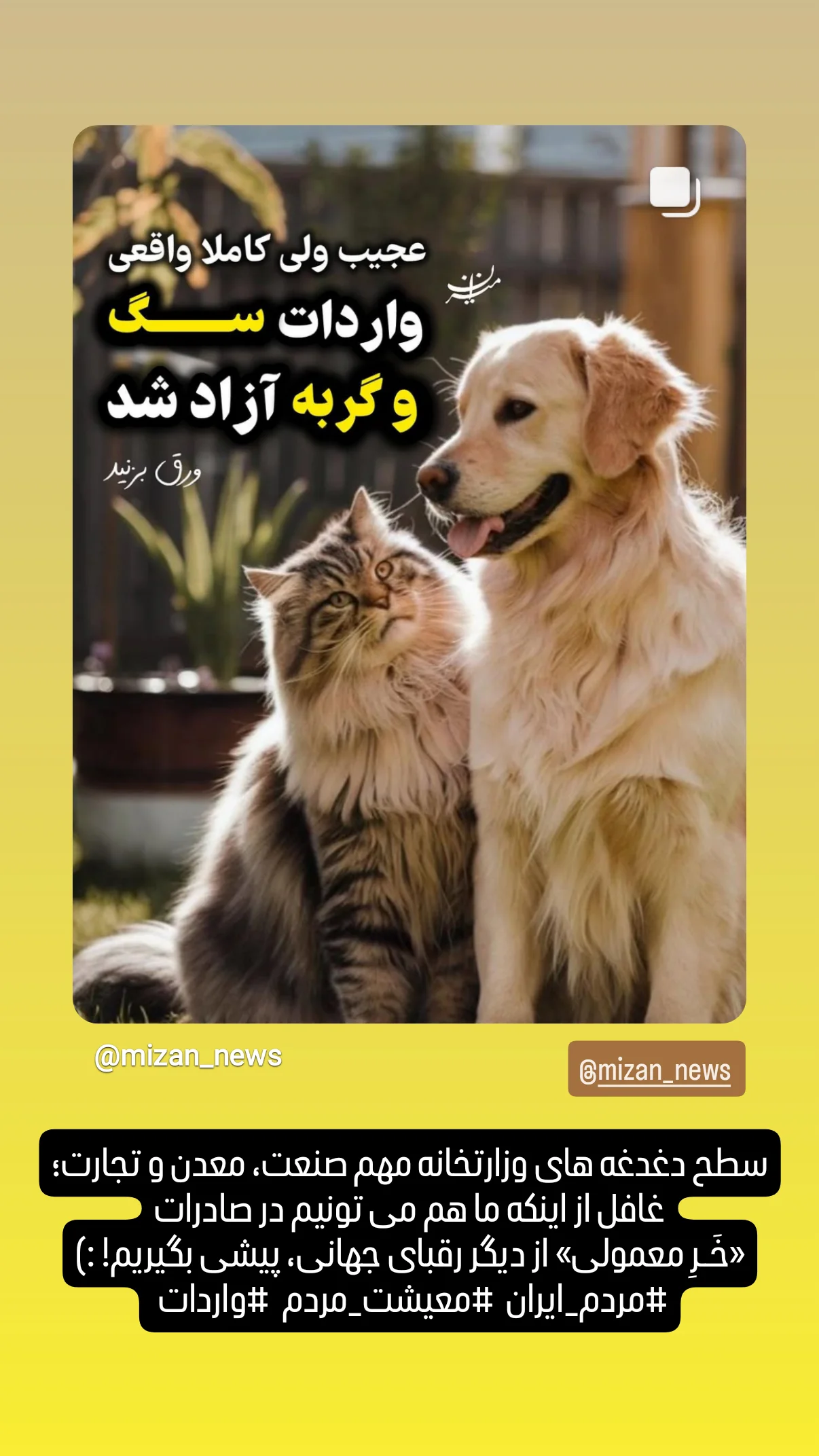  جدید ترین استوری اینستاگرام صابر شیخ رضائی