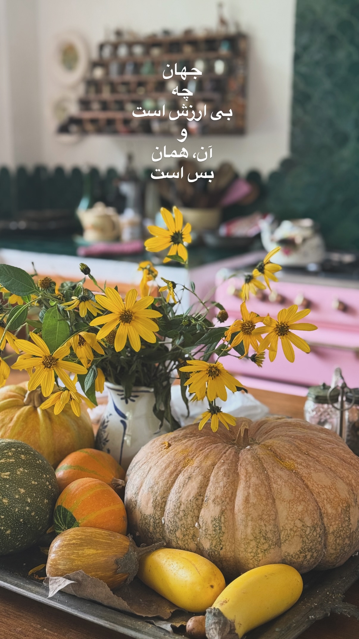  جدید ترین استوری اینستاگرام صابر ابر
