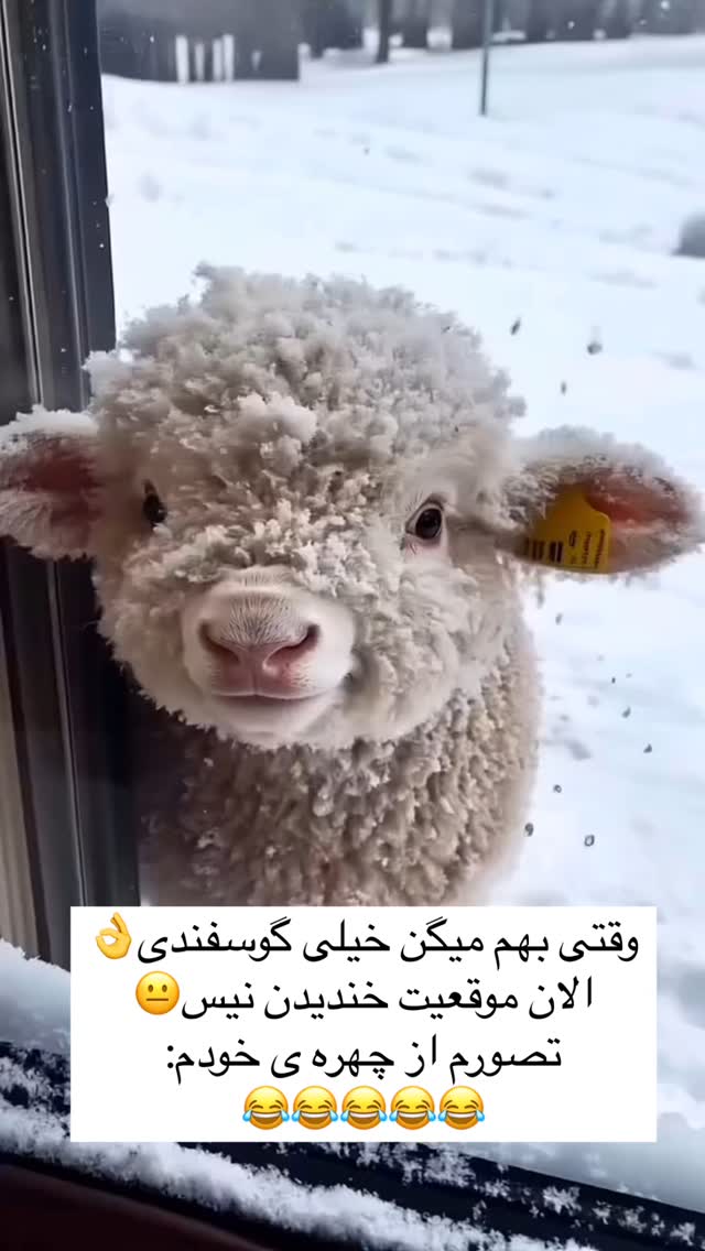  جدید ترین استوری اینستاگرام علی صبوری