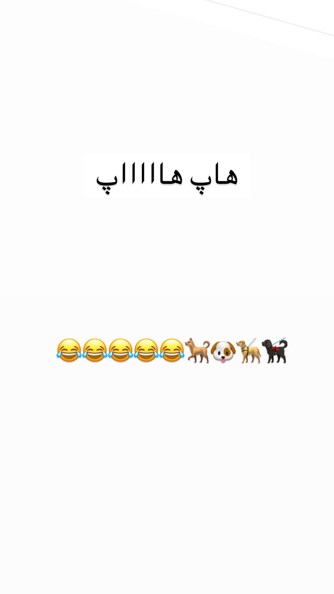  جدید ترین استوری اینستاگرام علی صبوری