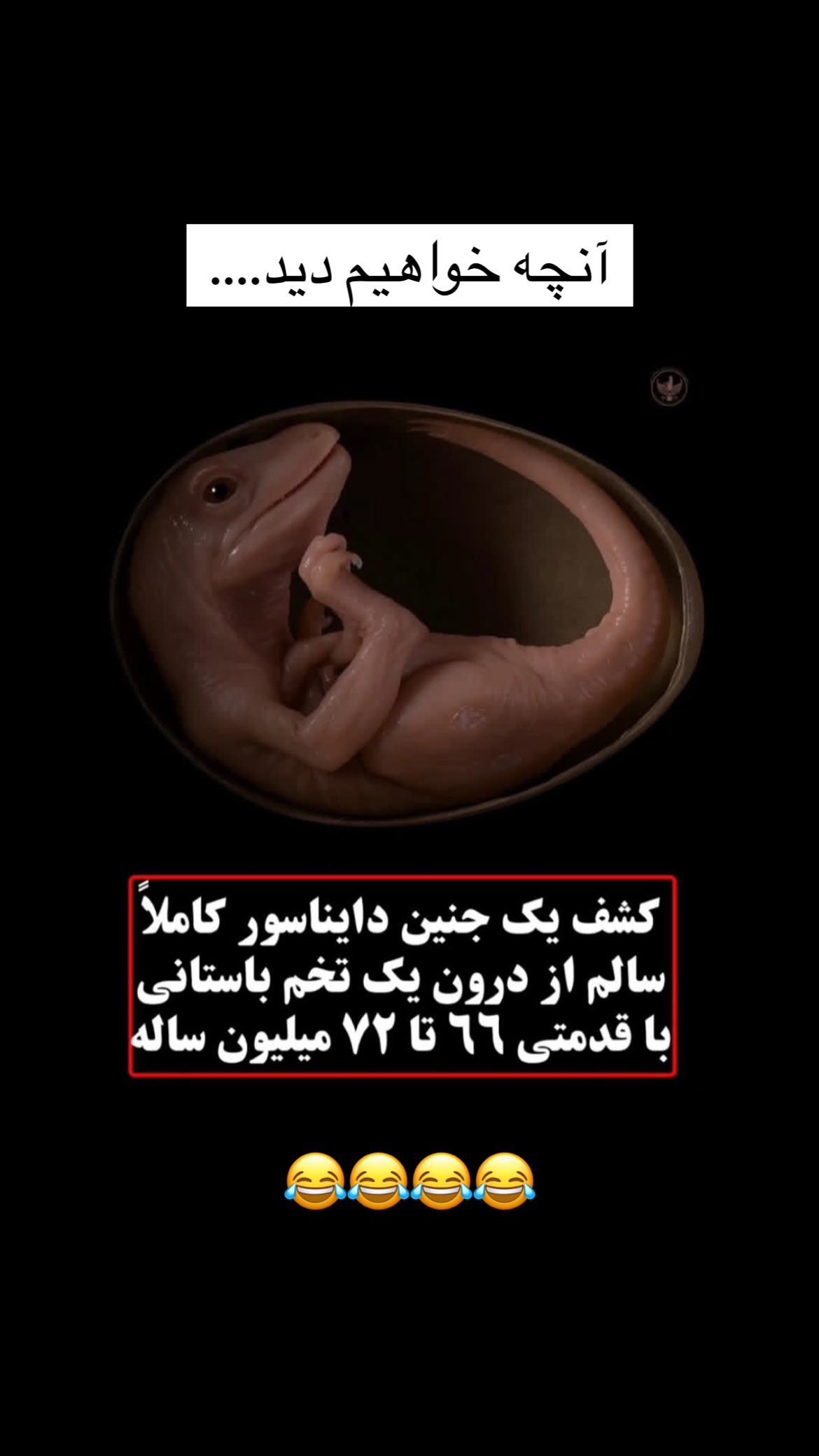  جدید ترین استوری اینستاگرام علی صبوری