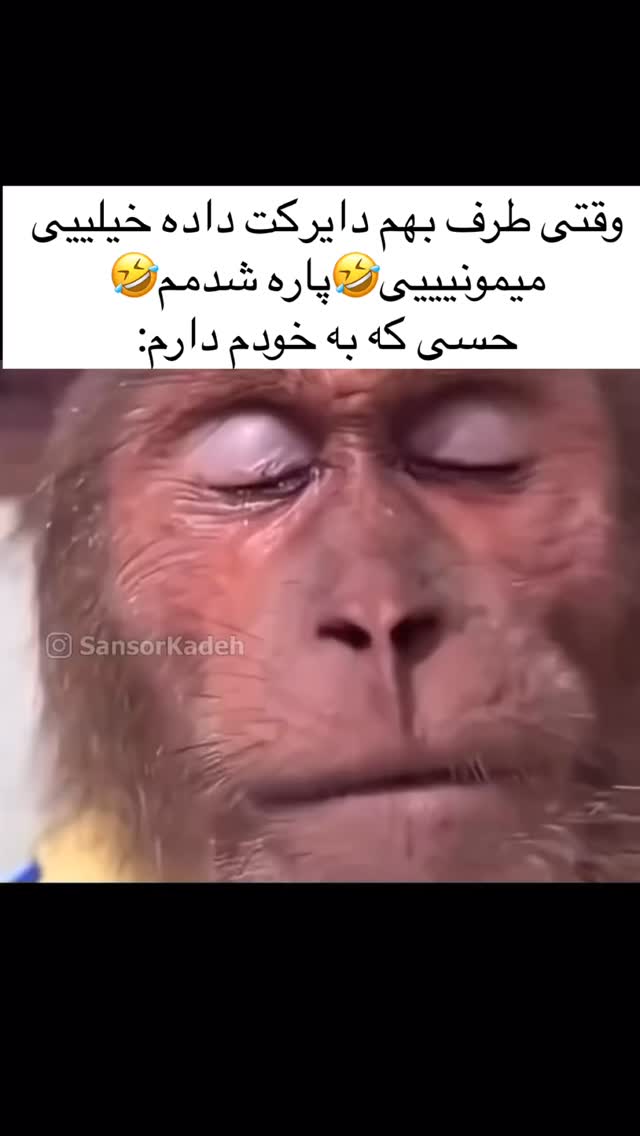  جدید ترین استوری اینستاگرام علی صبوری