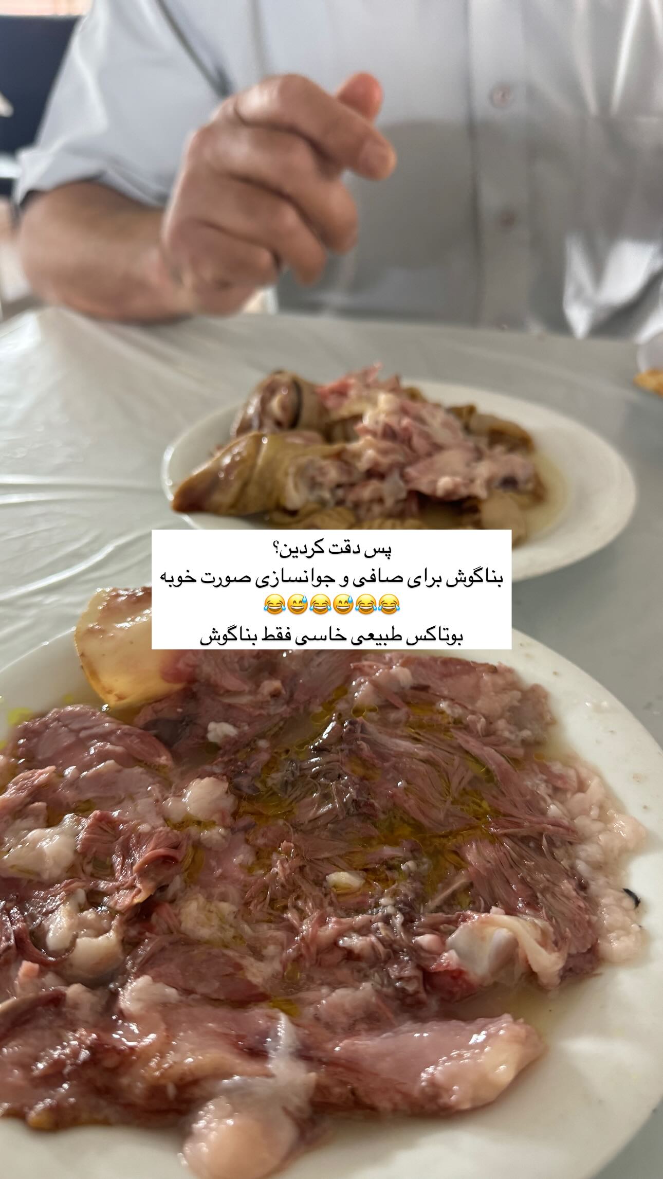  جدید ترین استوری اینستاگرام زینب سادات نوفرستی