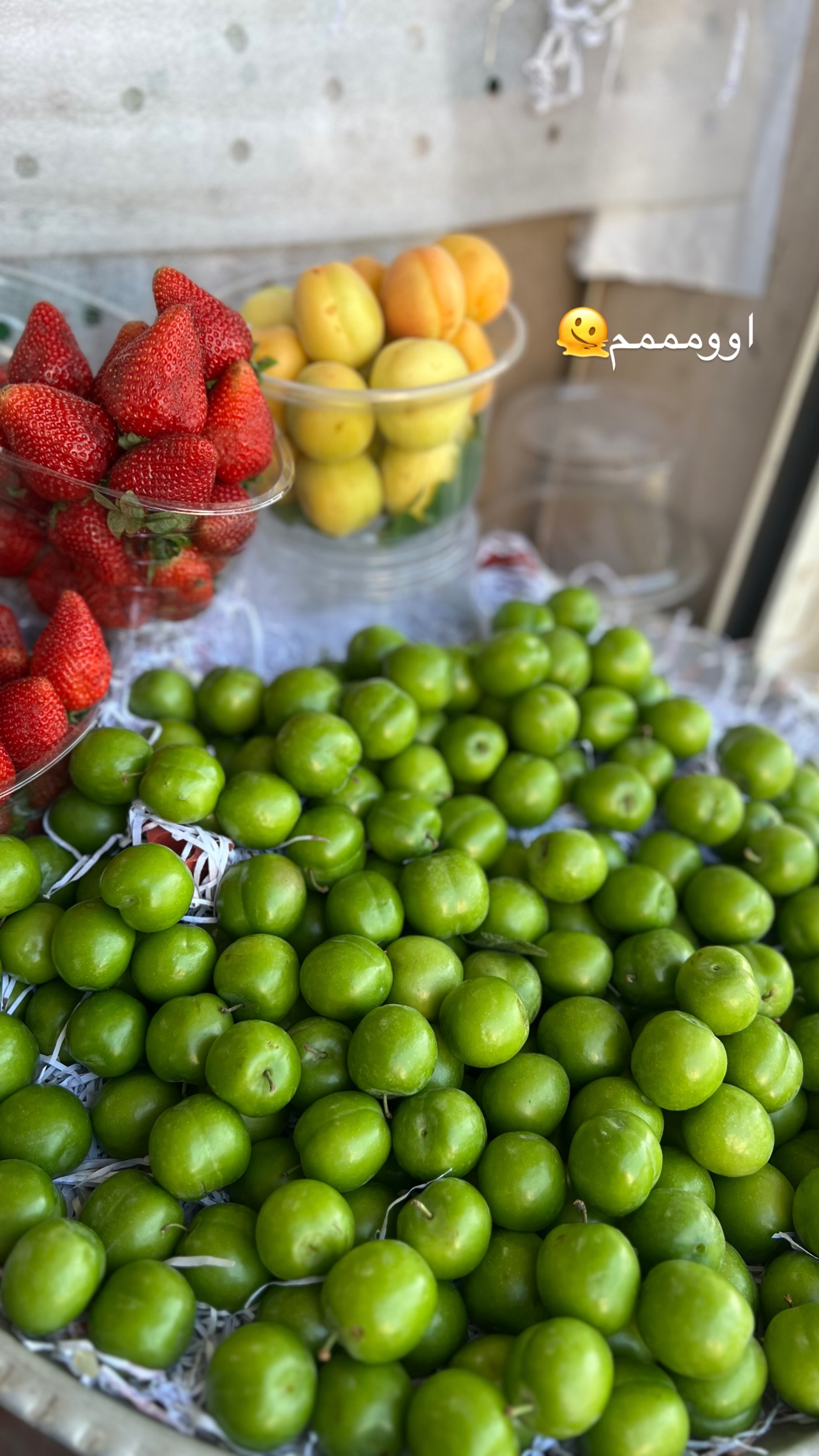  جدید ترین استوری اینستاگرام زینب سادات نوفرستی