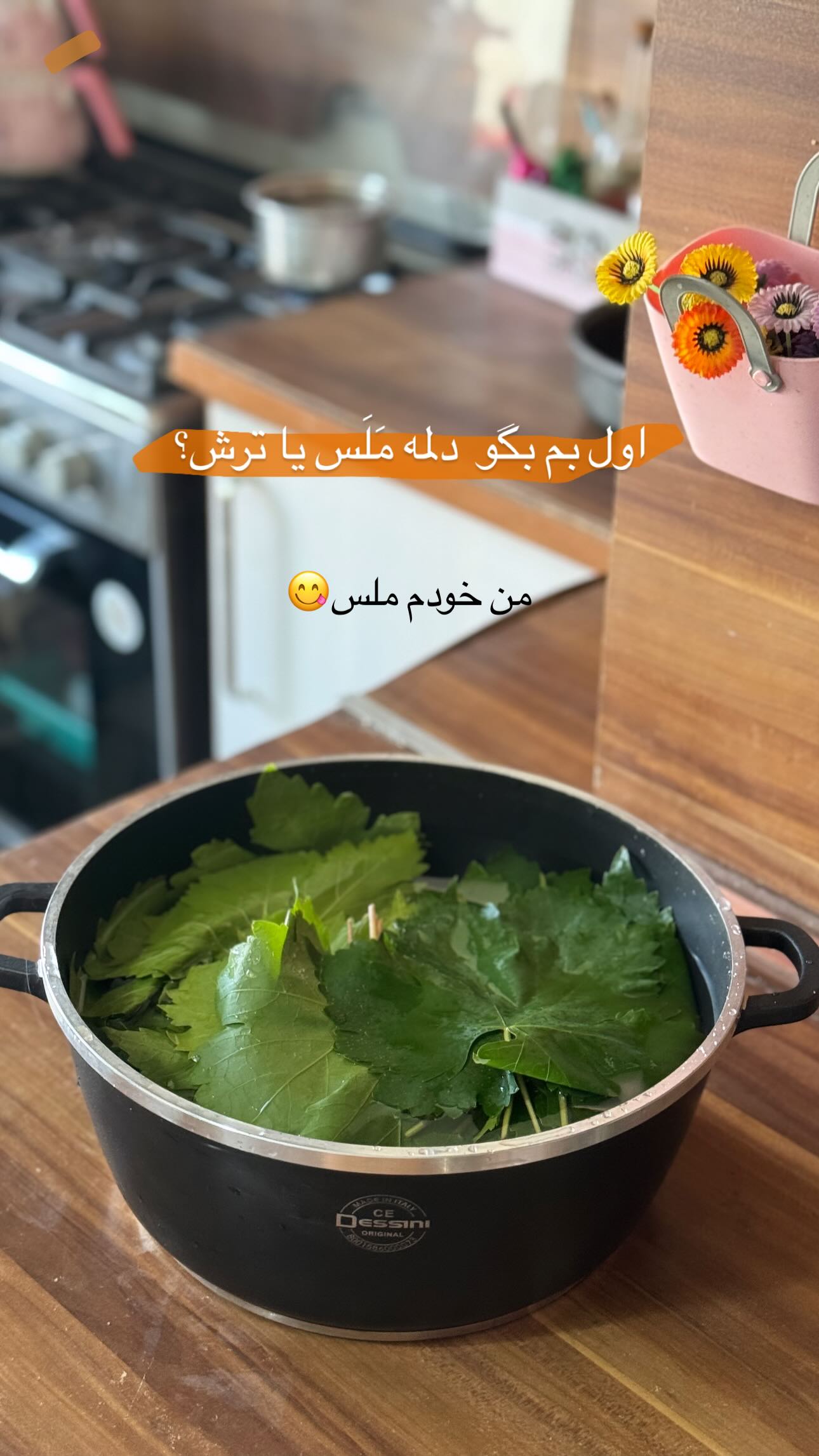  جدید ترین استوری اینستاگرام زینب سادات نوفرستی