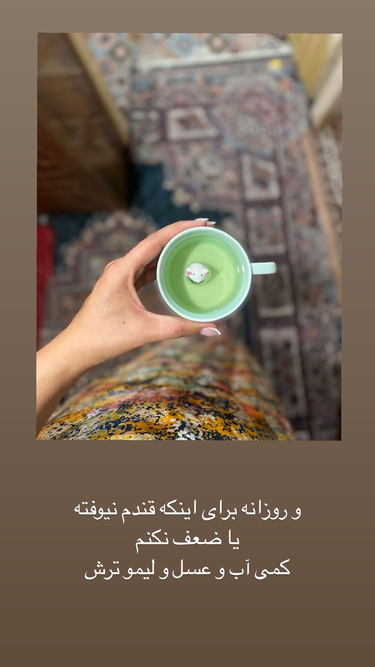  جدید ترین استوری اینستاگرام زینب سادات نوفرستی