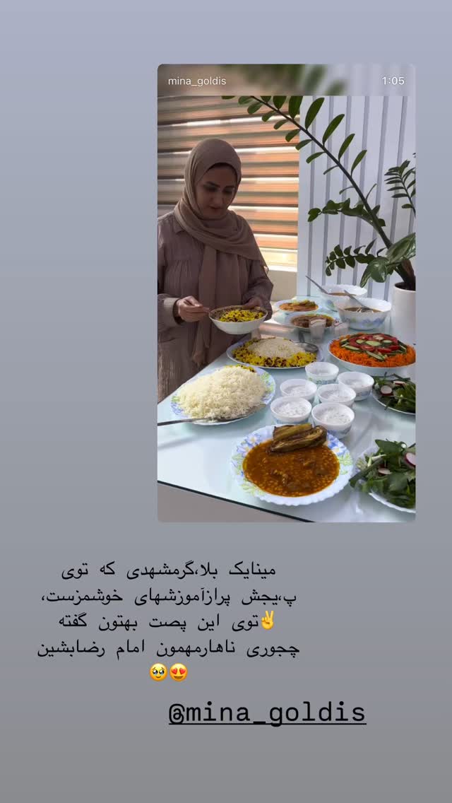  جدید ترین استوری اینستاگرام زینب سادات نوفرستی