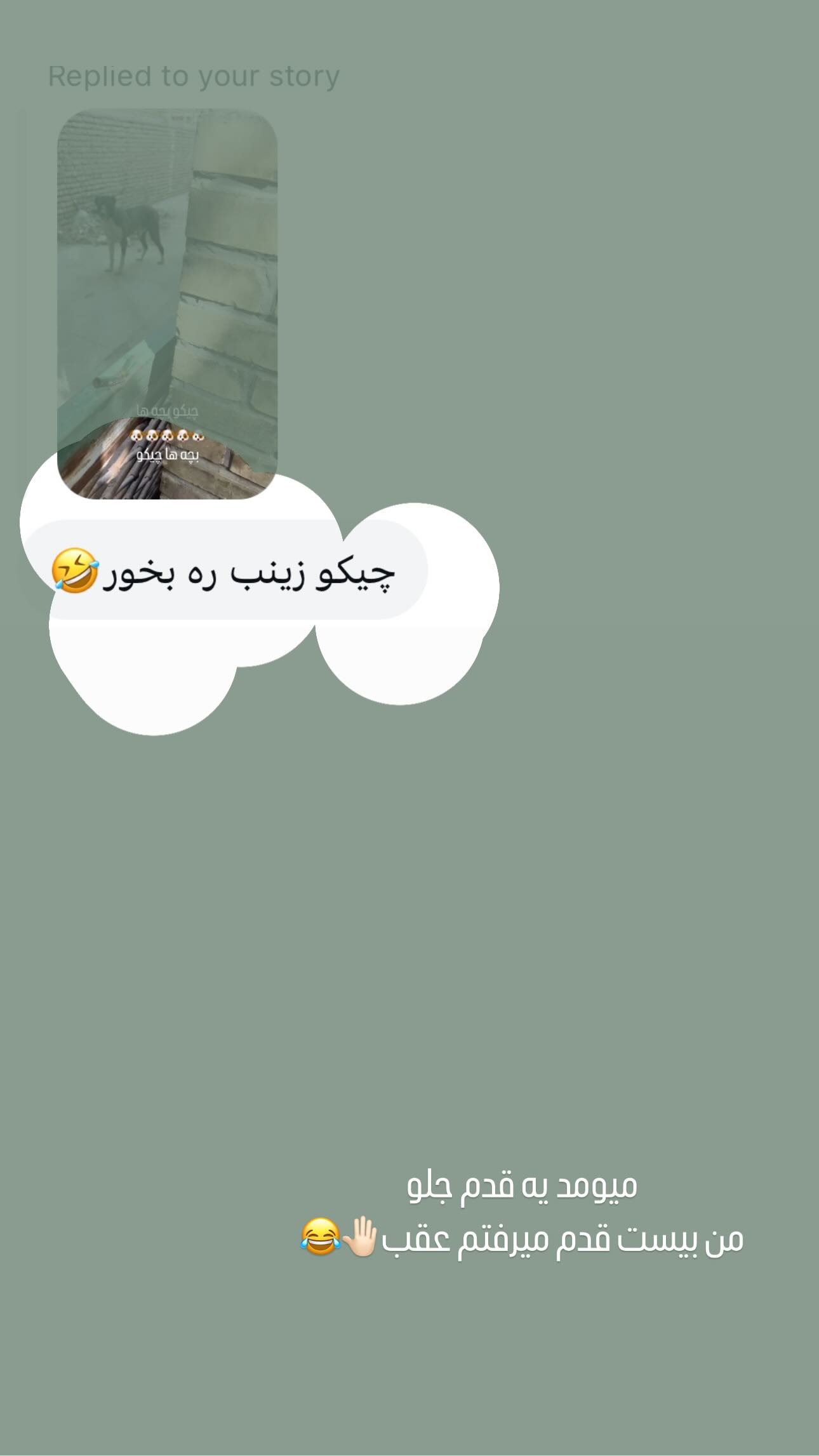  جدید ترین استوری اینستاگرام زینب سادات نوفرستی
