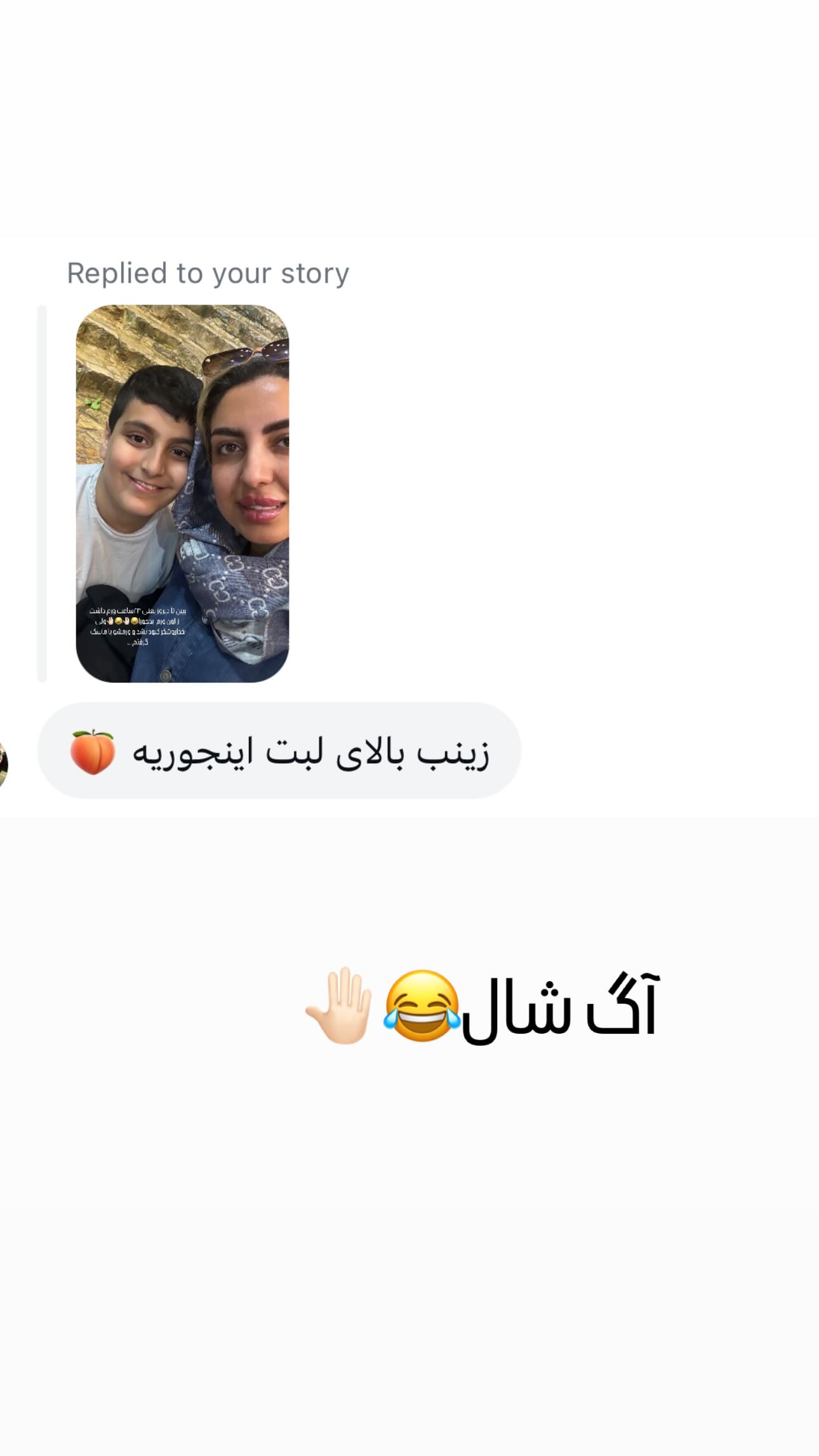  جدید ترین استوری اینستاگرام زینب سادات نوفرستی