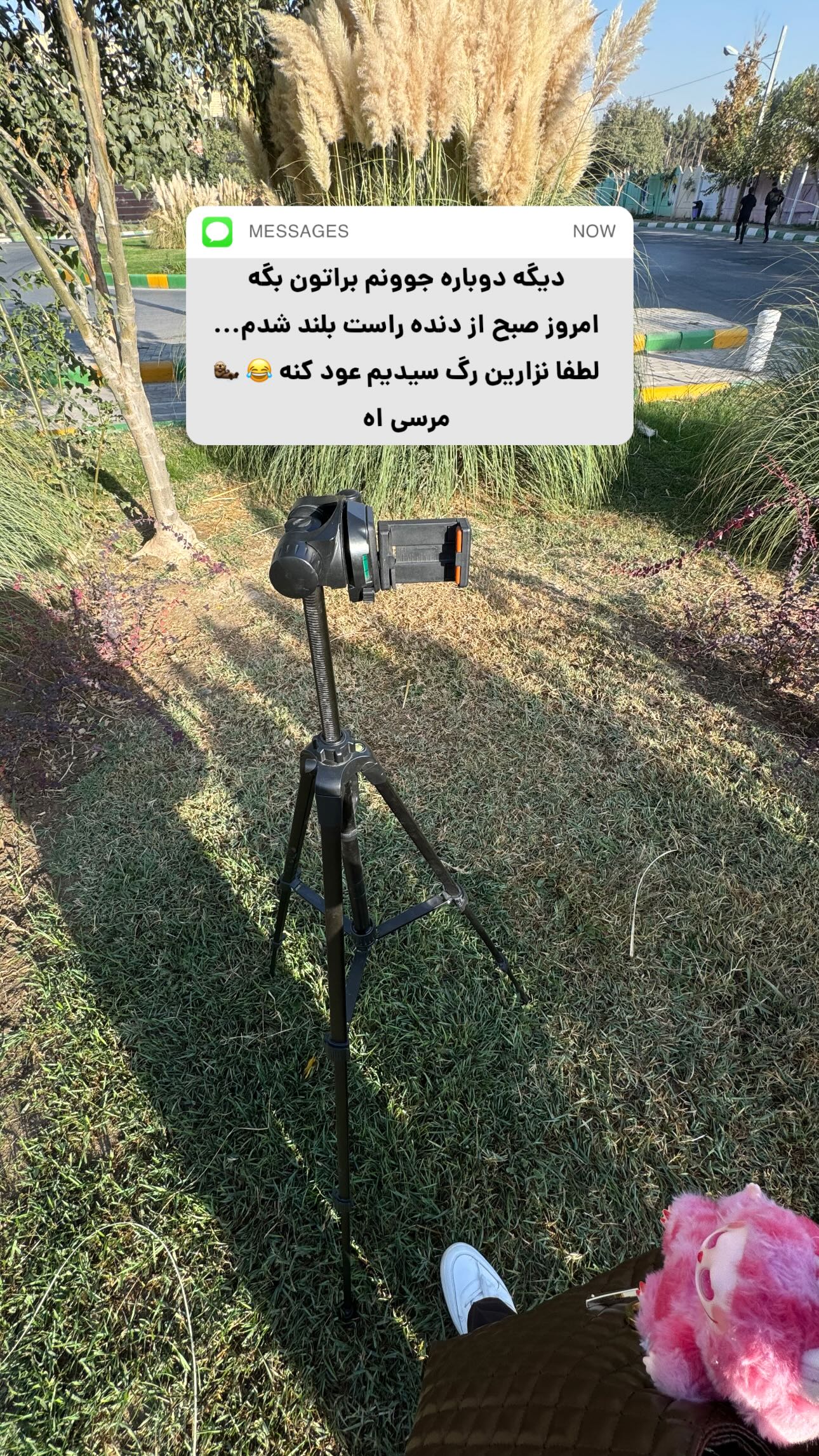  جدید ترین استوری اینستاگرام زینب سادات نوفرستی